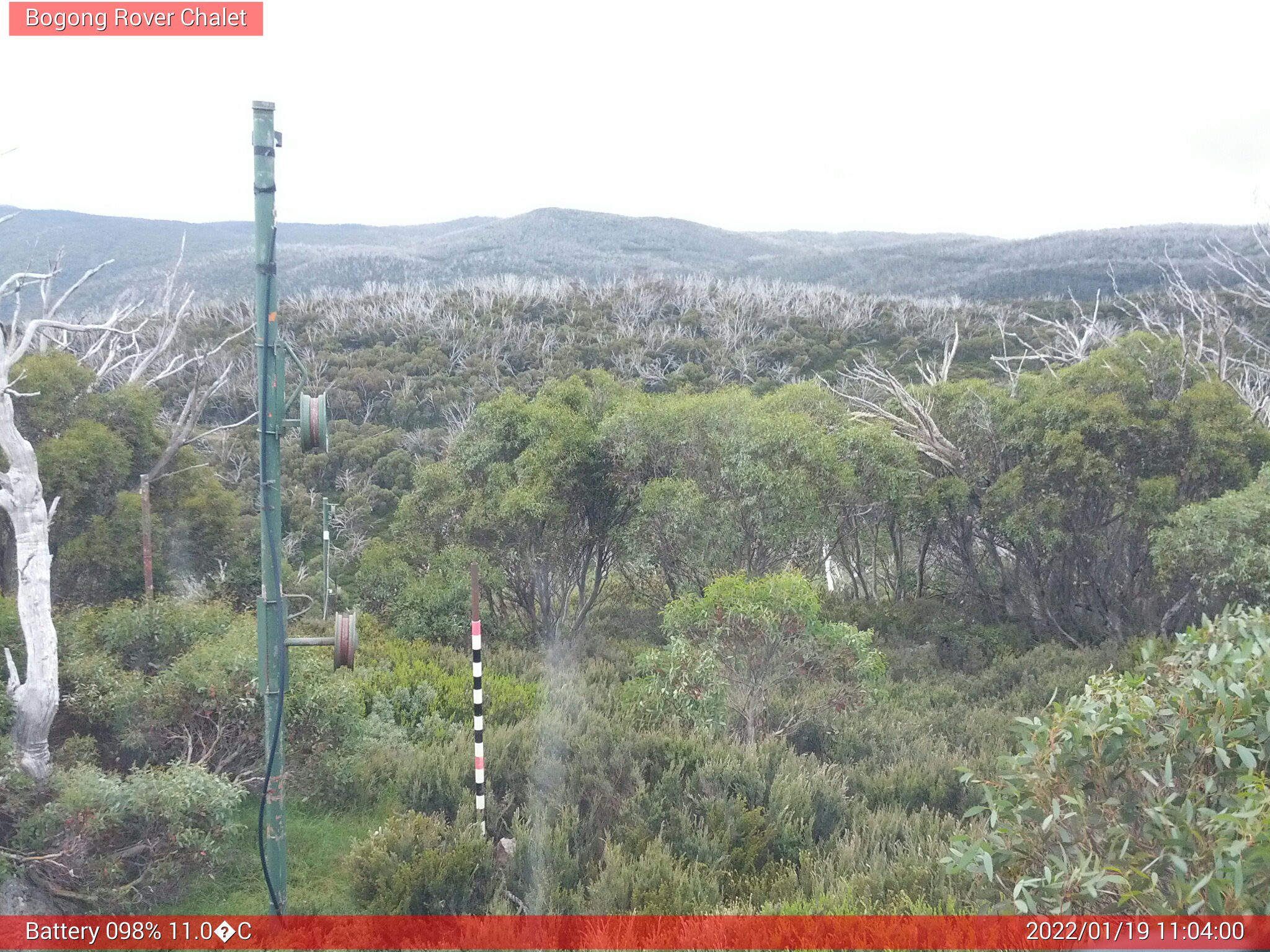 Bogong Web Cam 11:03am Wednesday 19th of January 2022