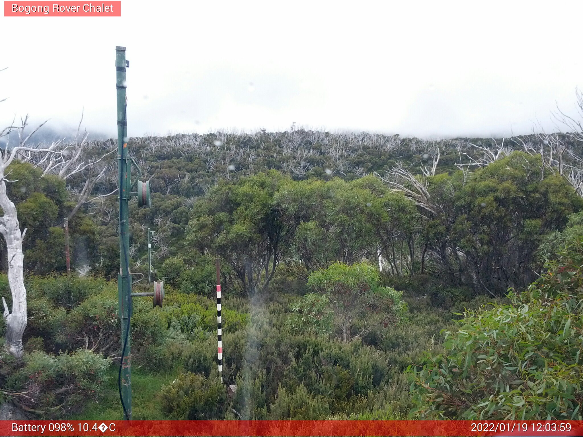 Bogong Web Cam 12:03pm Wednesday 19th of January 2022