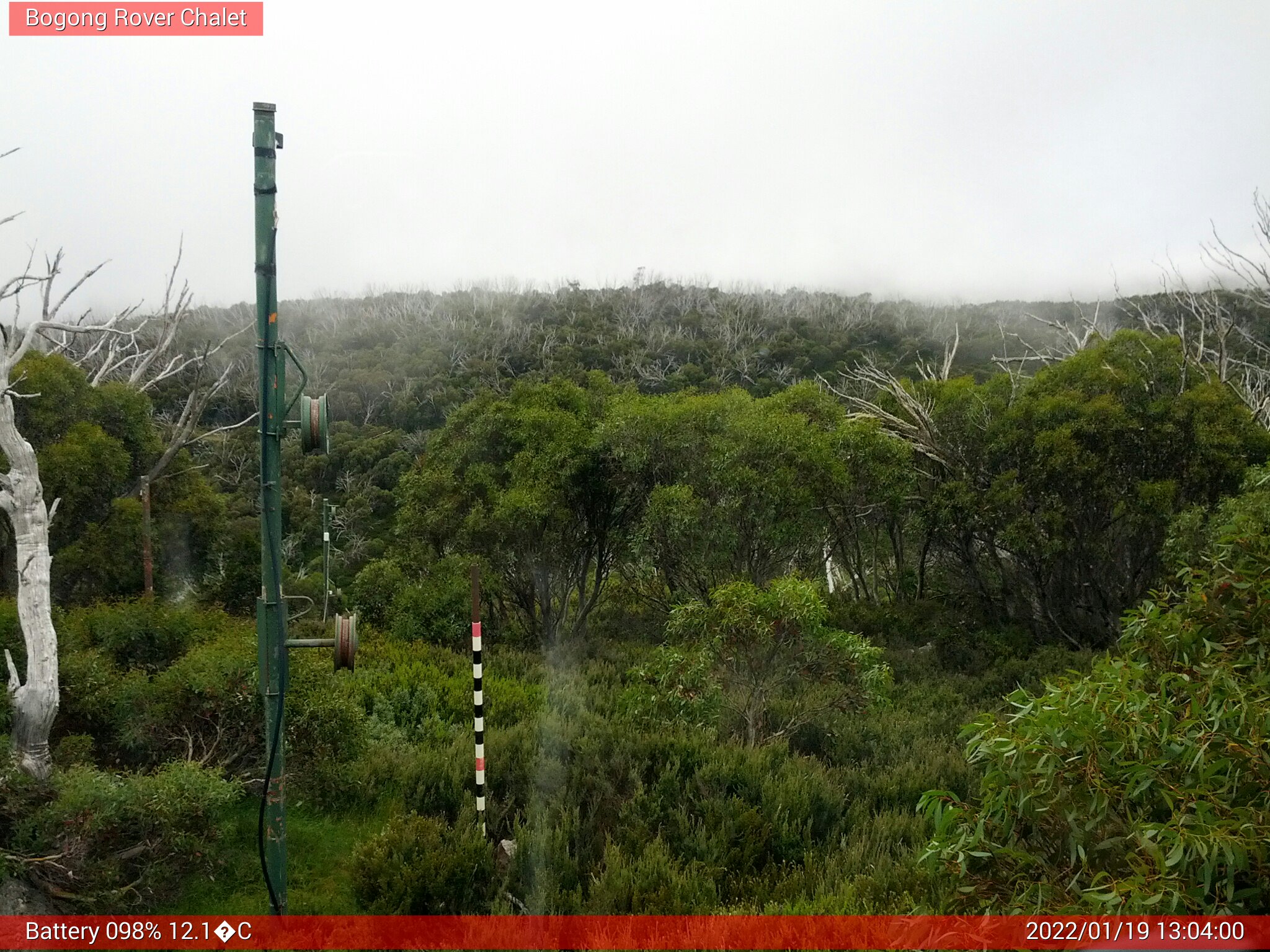 Bogong Web Cam 1:03pm Wednesday 19th of January 2022