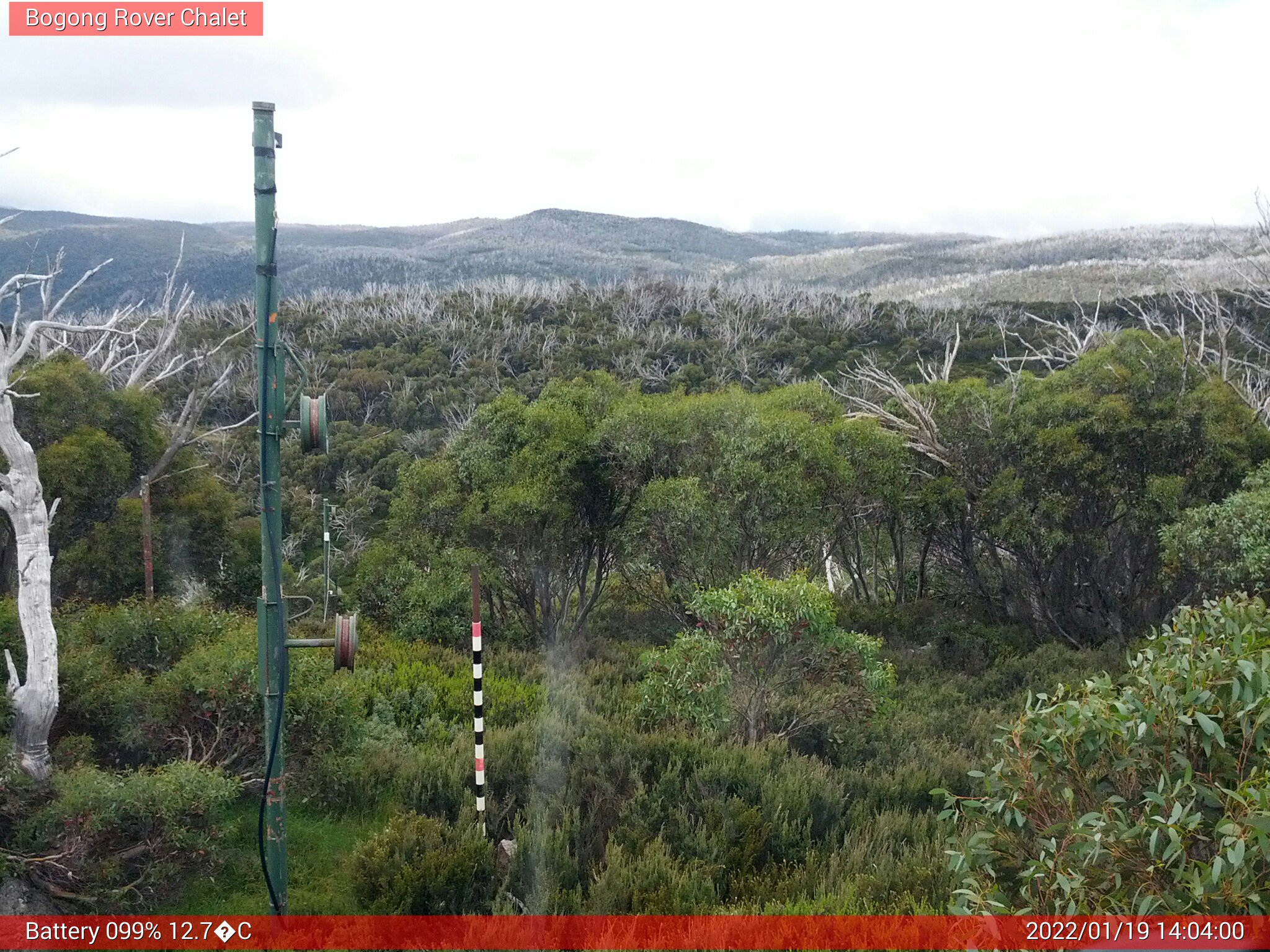 Bogong Web Cam 2:03pm Wednesday 19th of January 2022