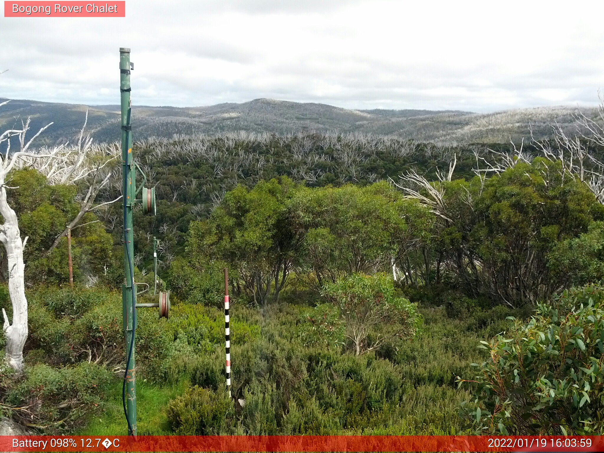 Bogong Web Cam 4:03pm Wednesday 19th of January 2022