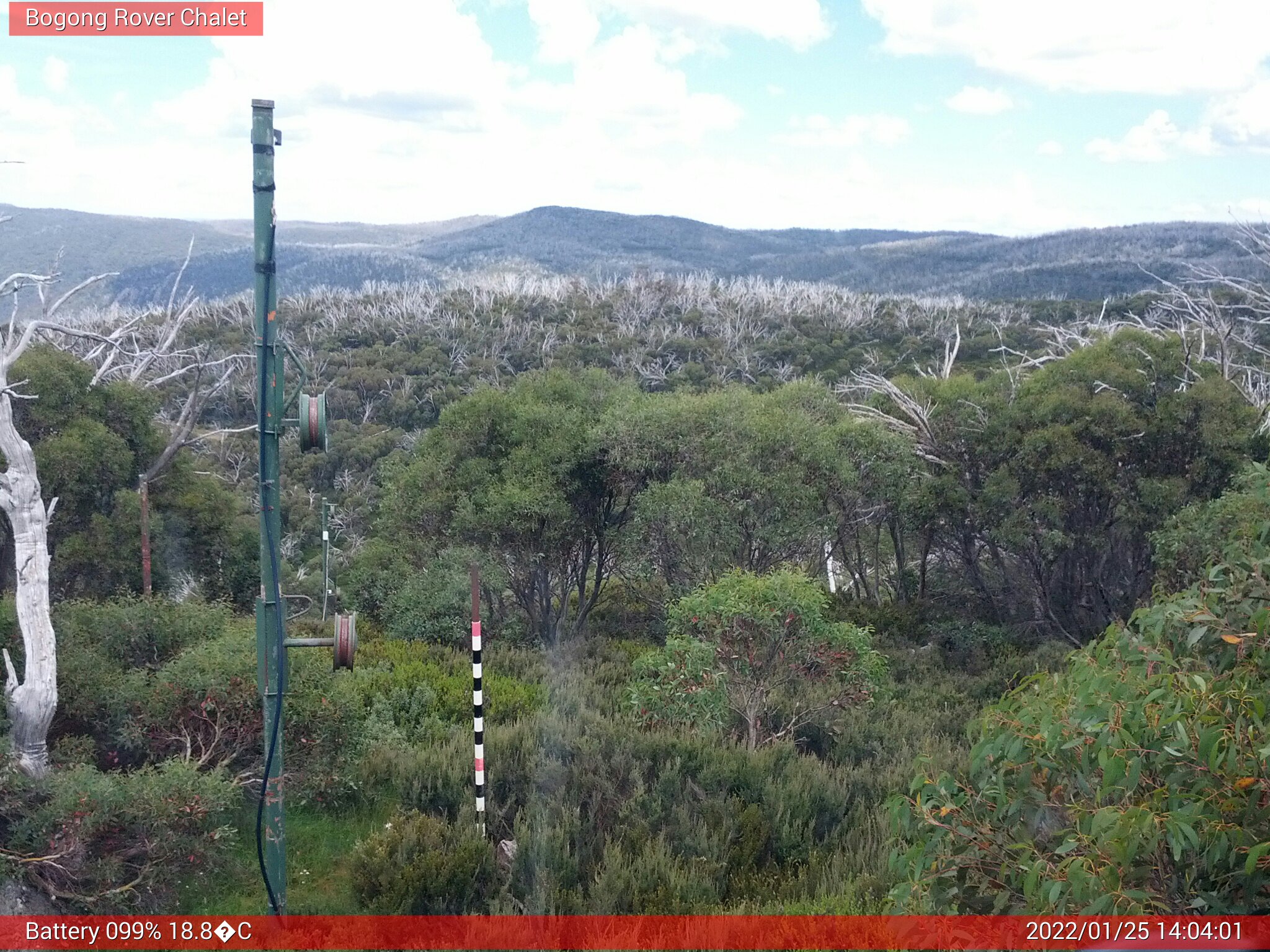 Bogong Web Cam 2:04pm Tuesday 25th of January 2022