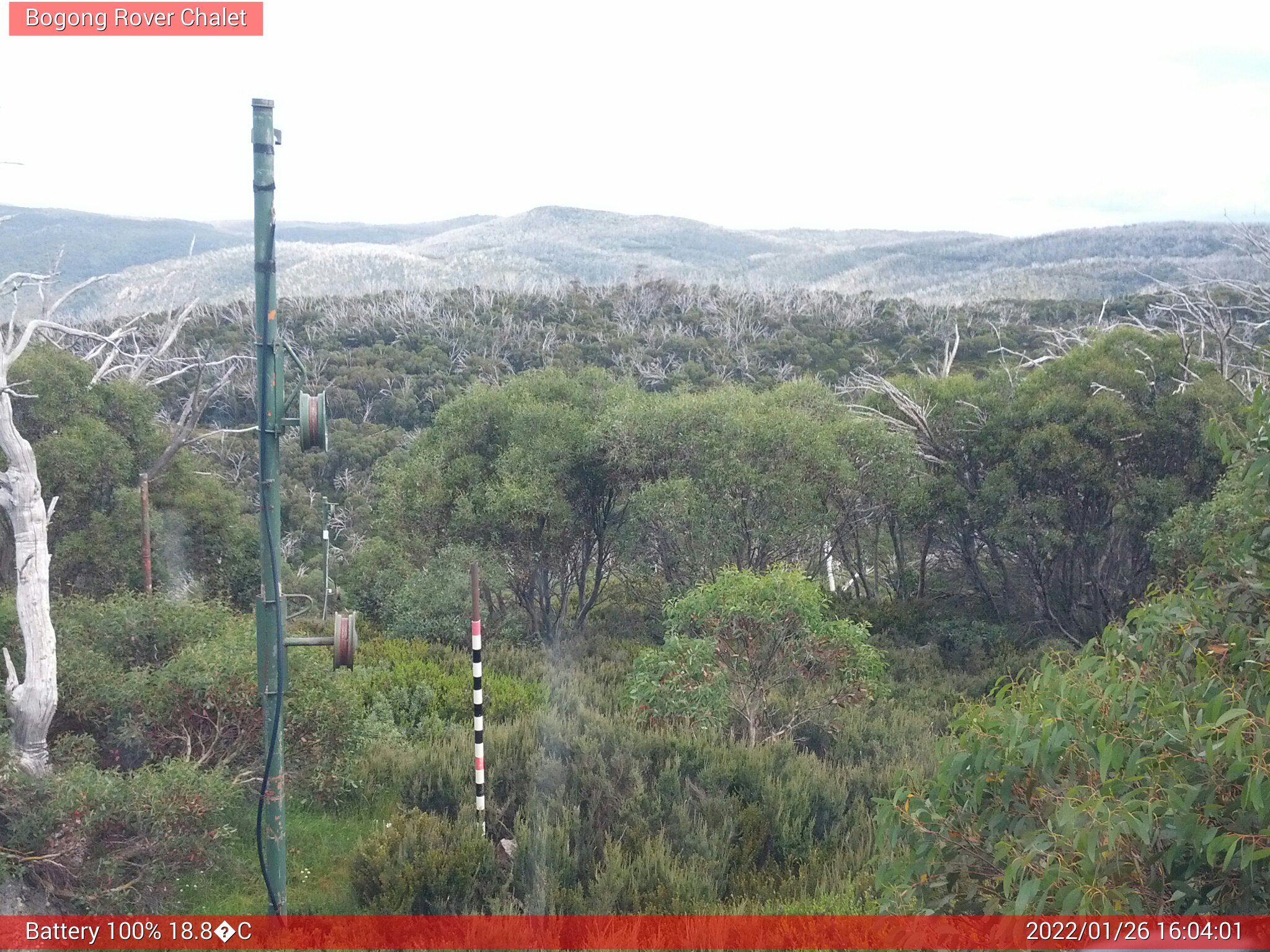 Bogong Web Cam 4:04pm Wednesday 26th of January 2022