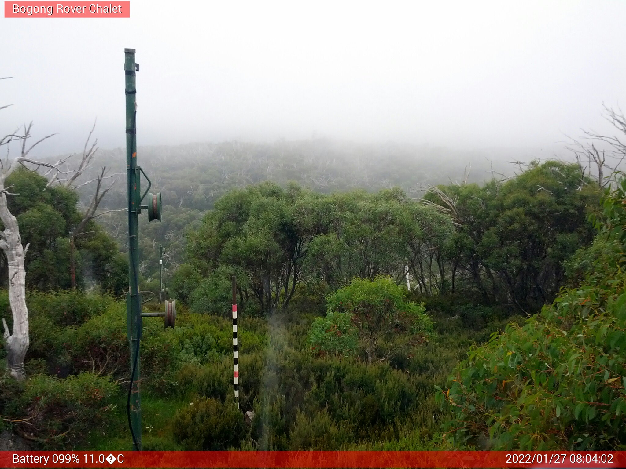 Bogong Web Cam 8:04am Thursday 27th of January 2022