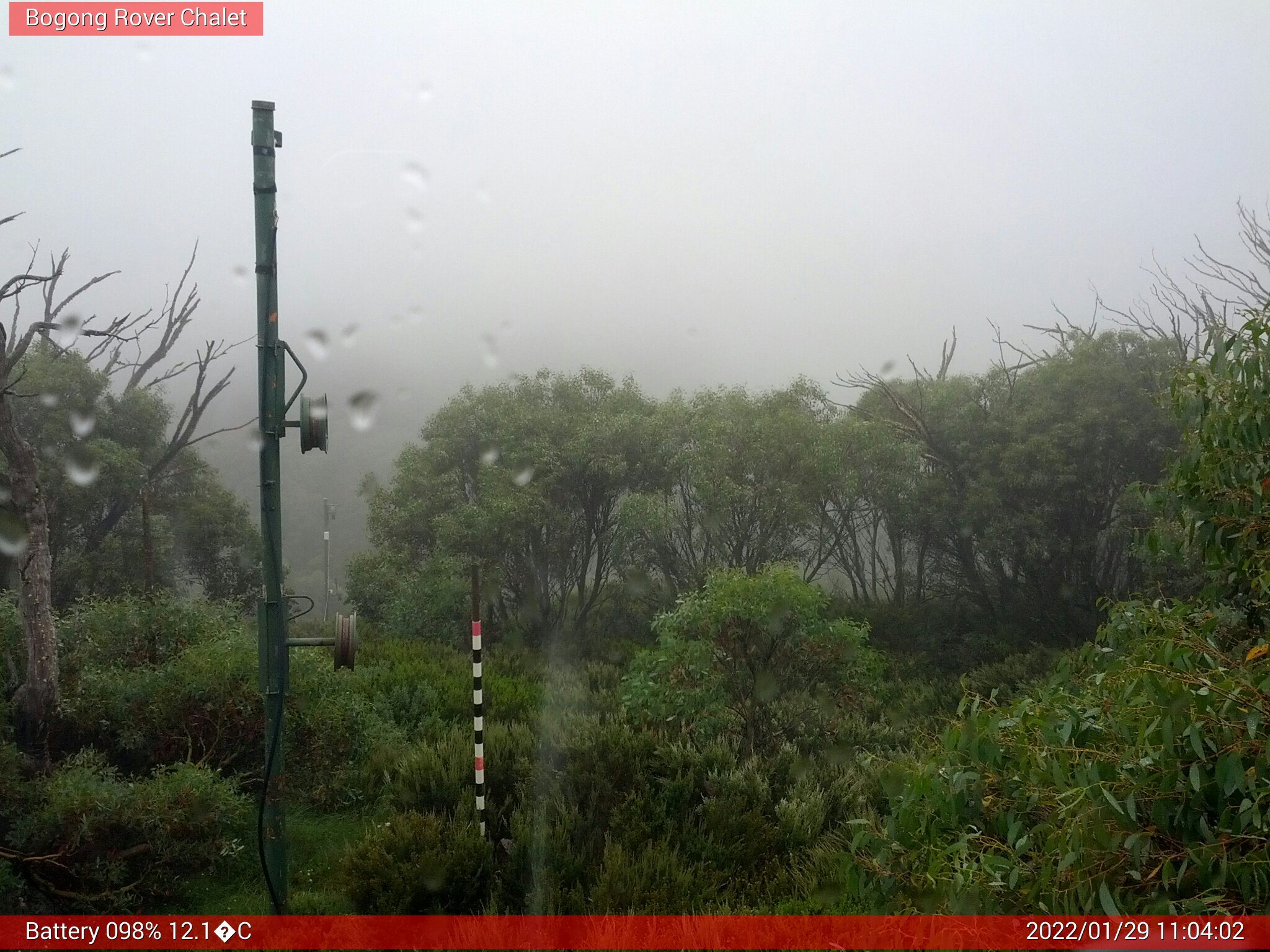 Bogong Web Cam 11:04am Saturday 29th of January 2022