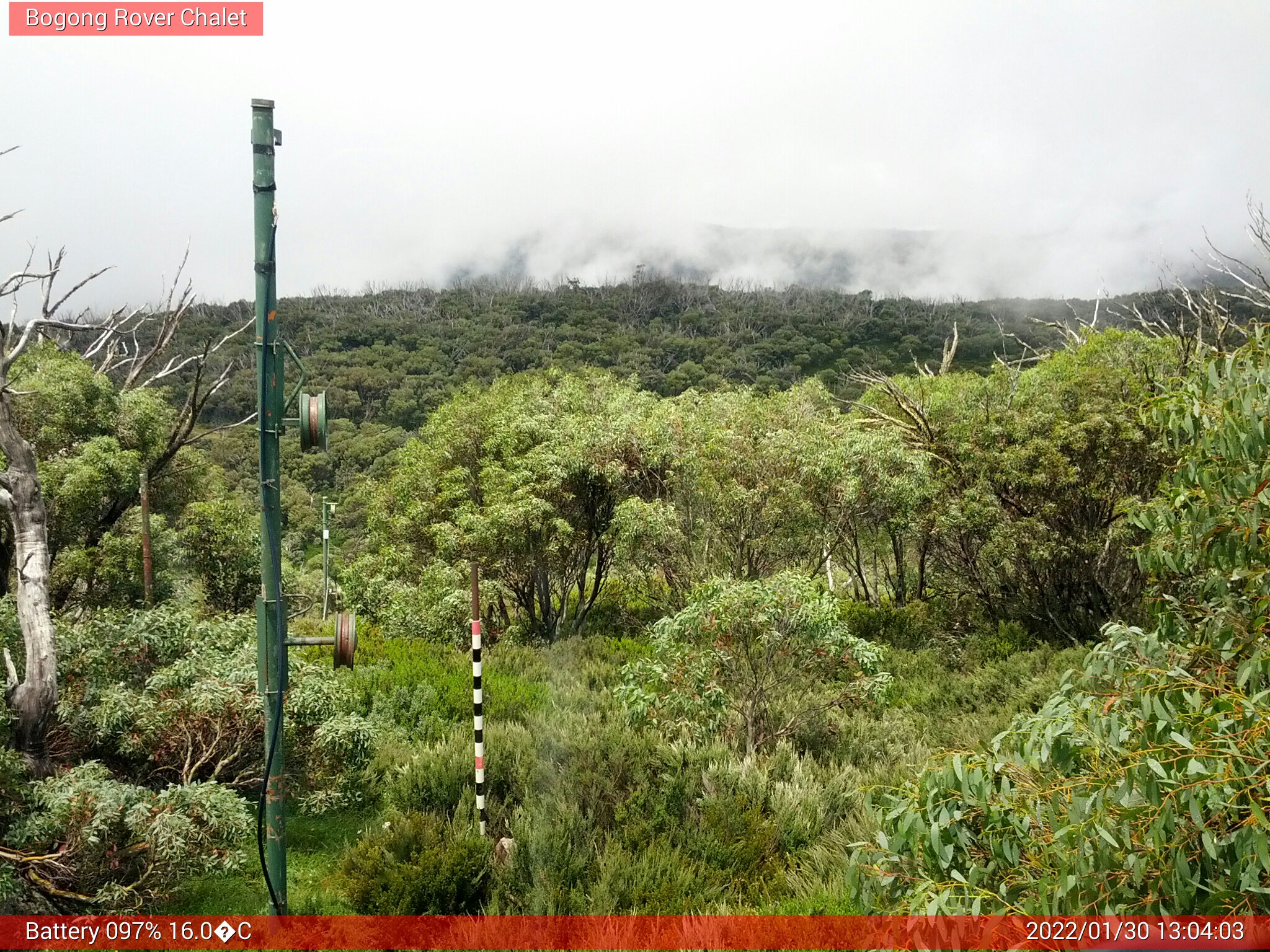 Bogong Web Cam 1:04pm Sunday 30th of January 2022