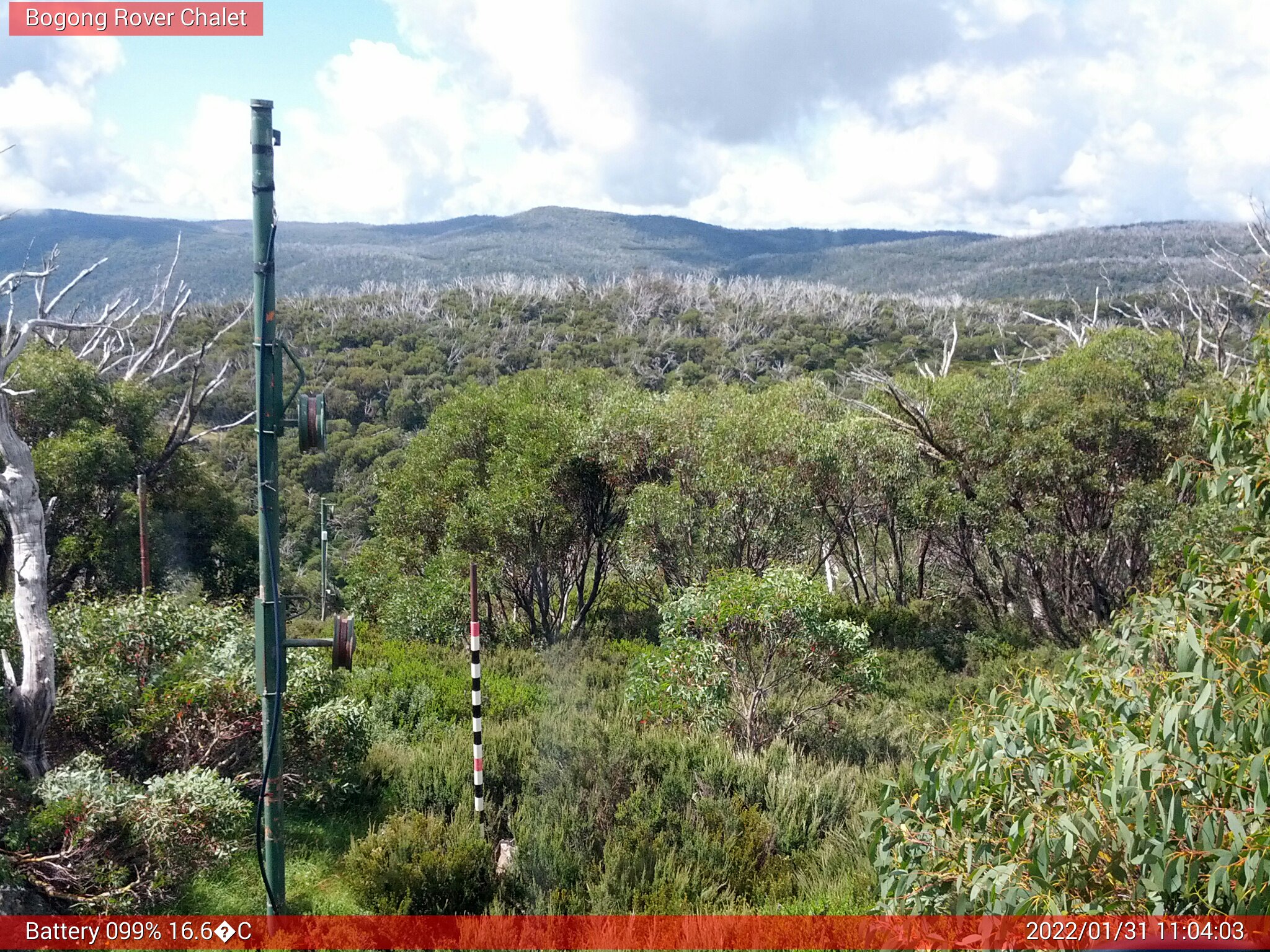 Bogong Web Cam 11:04am Monday 31st of January 2022