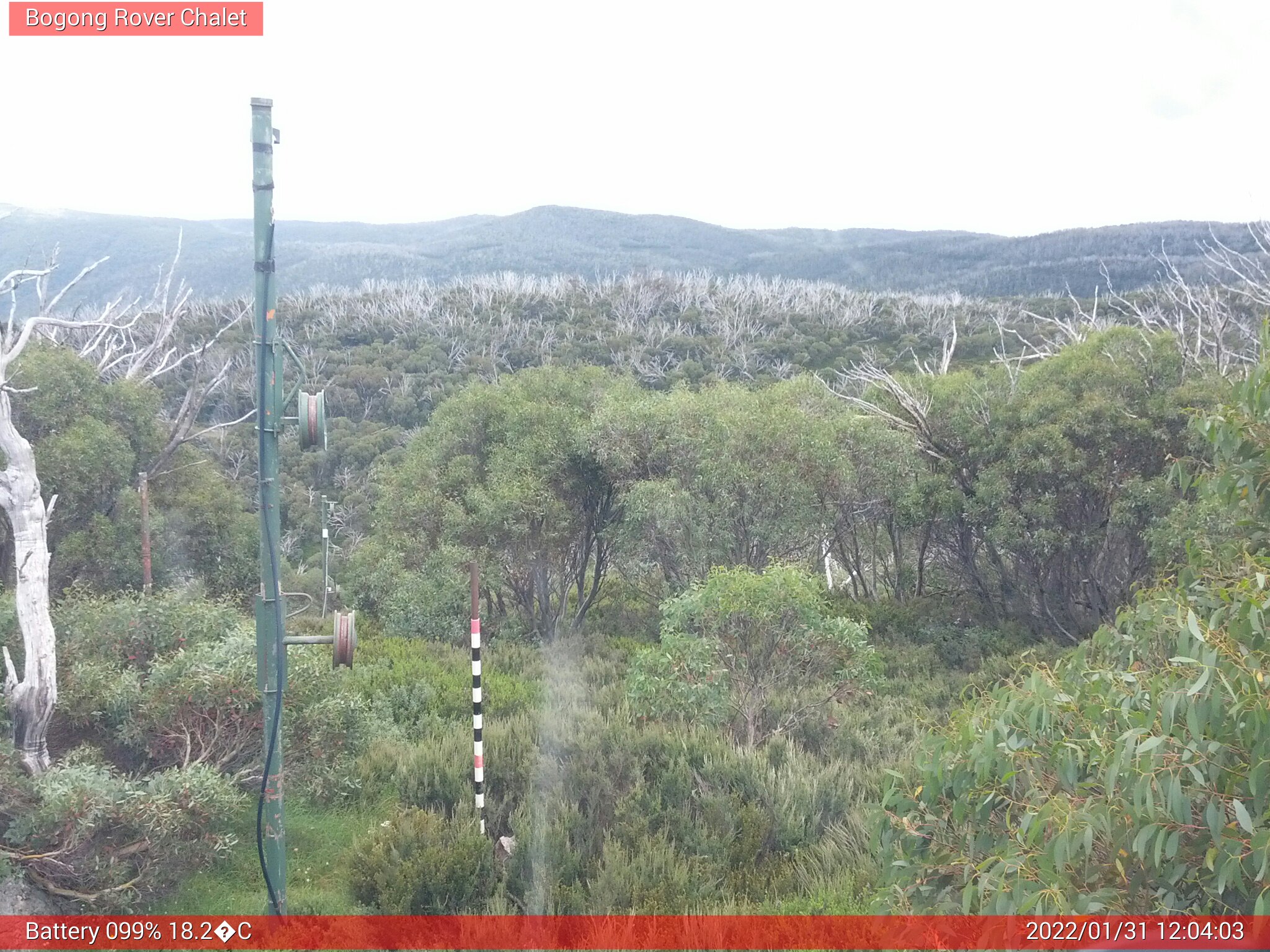 Bogong Web Cam 12:04pm Monday 31st of January 2022