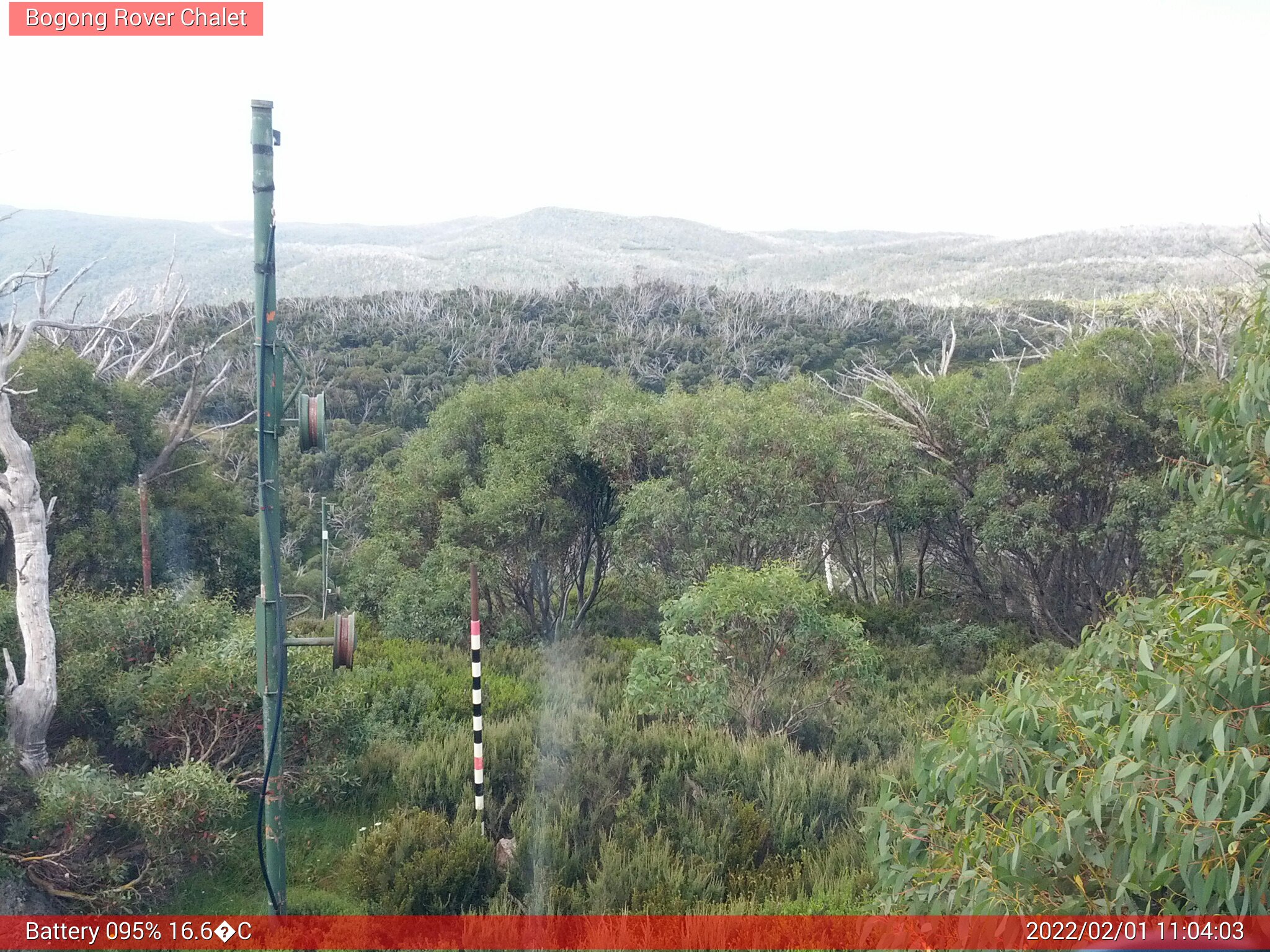 Bogong Web Cam 11:04am Tuesday 1st of February 2022