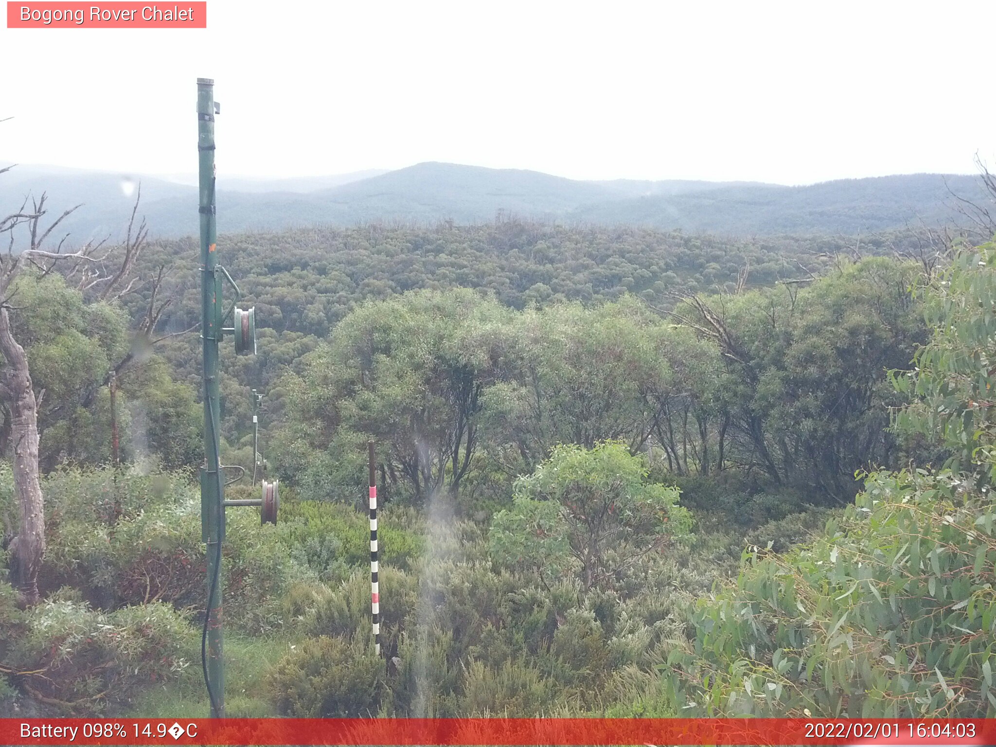 Bogong Web Cam 4:04pm Tuesday 1st of February 2022