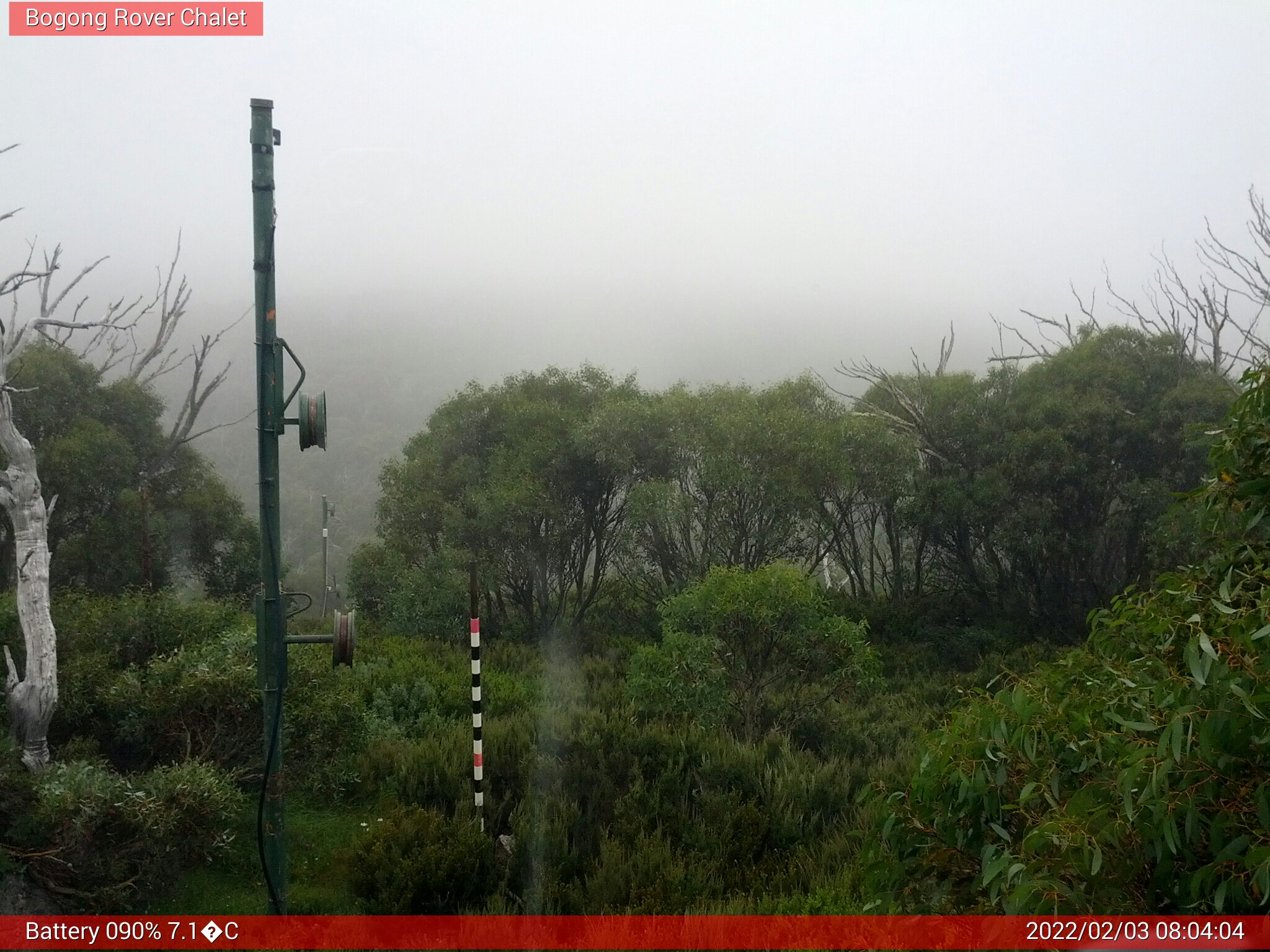 Bogong Web Cam 8:04am Thursday 3rd of February 2022