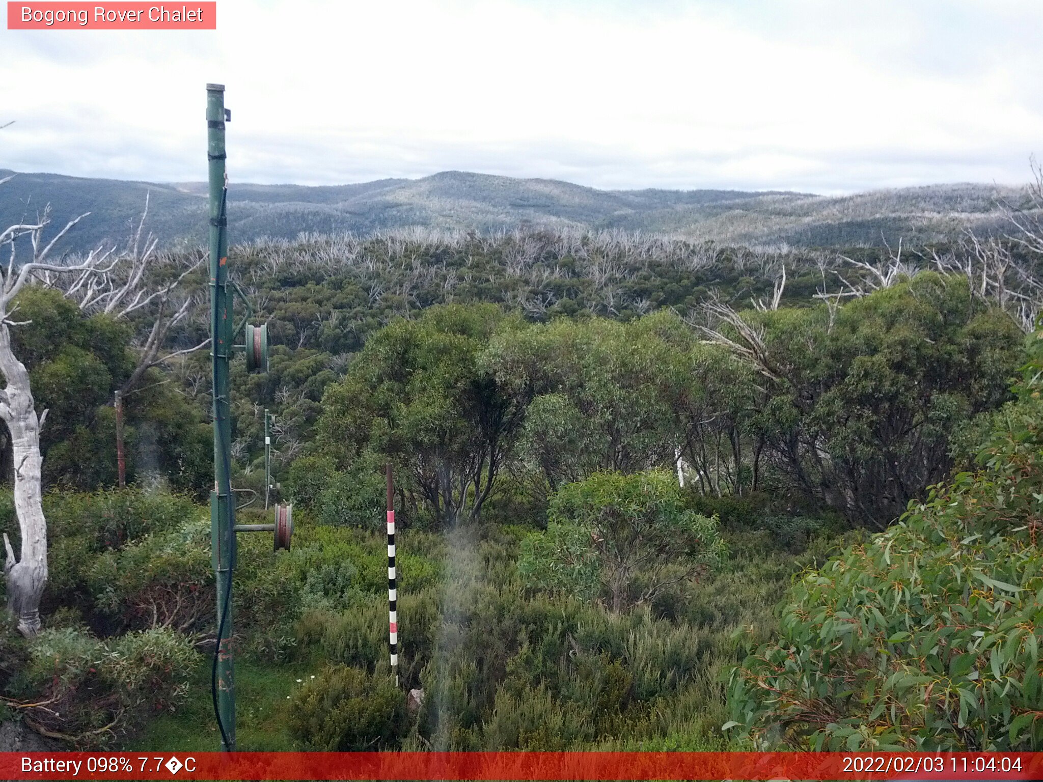 Bogong Web Cam 11:04am Thursday 3rd of February 2022