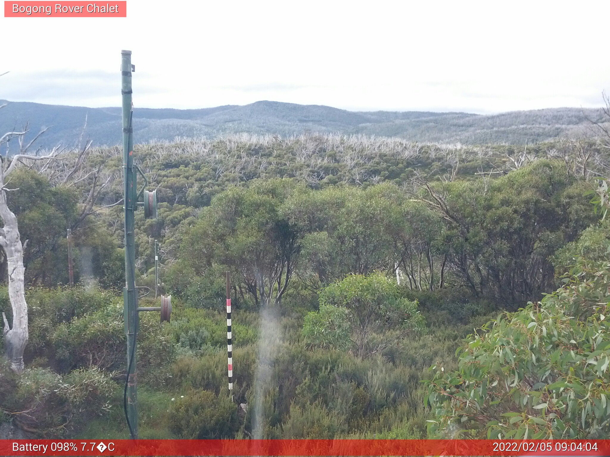 Bogong Web Cam 9:04am Saturday 5th of February 2022