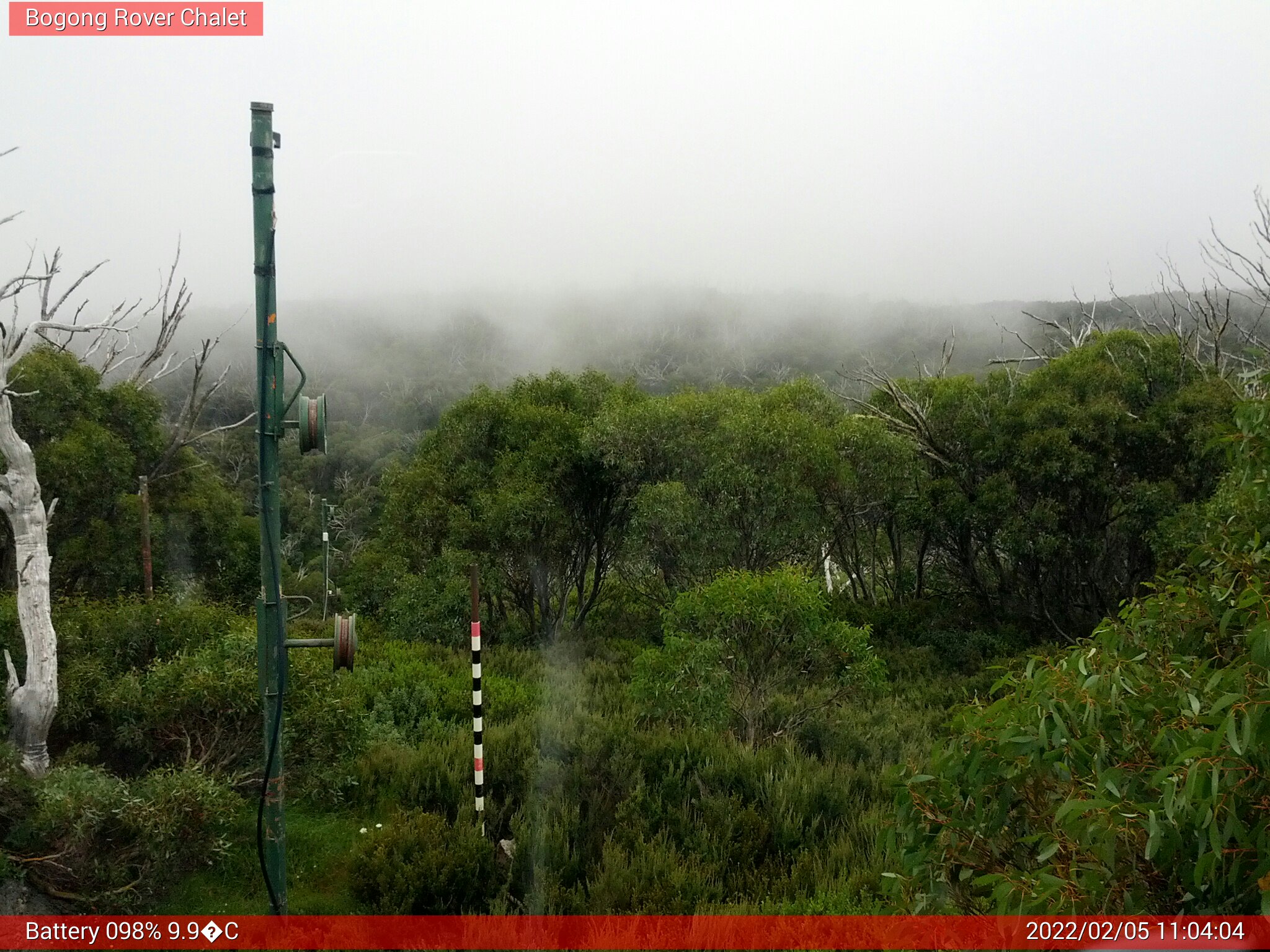 Bogong Web Cam 11:04am Saturday 5th of February 2022