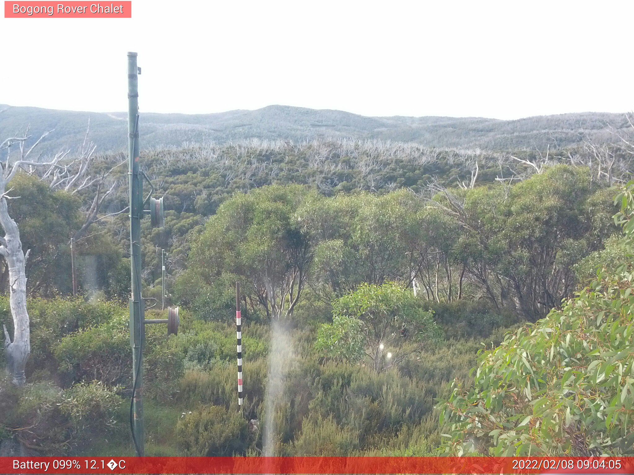 Bogong Web Cam 9:04am Tuesday 8th of February 2022