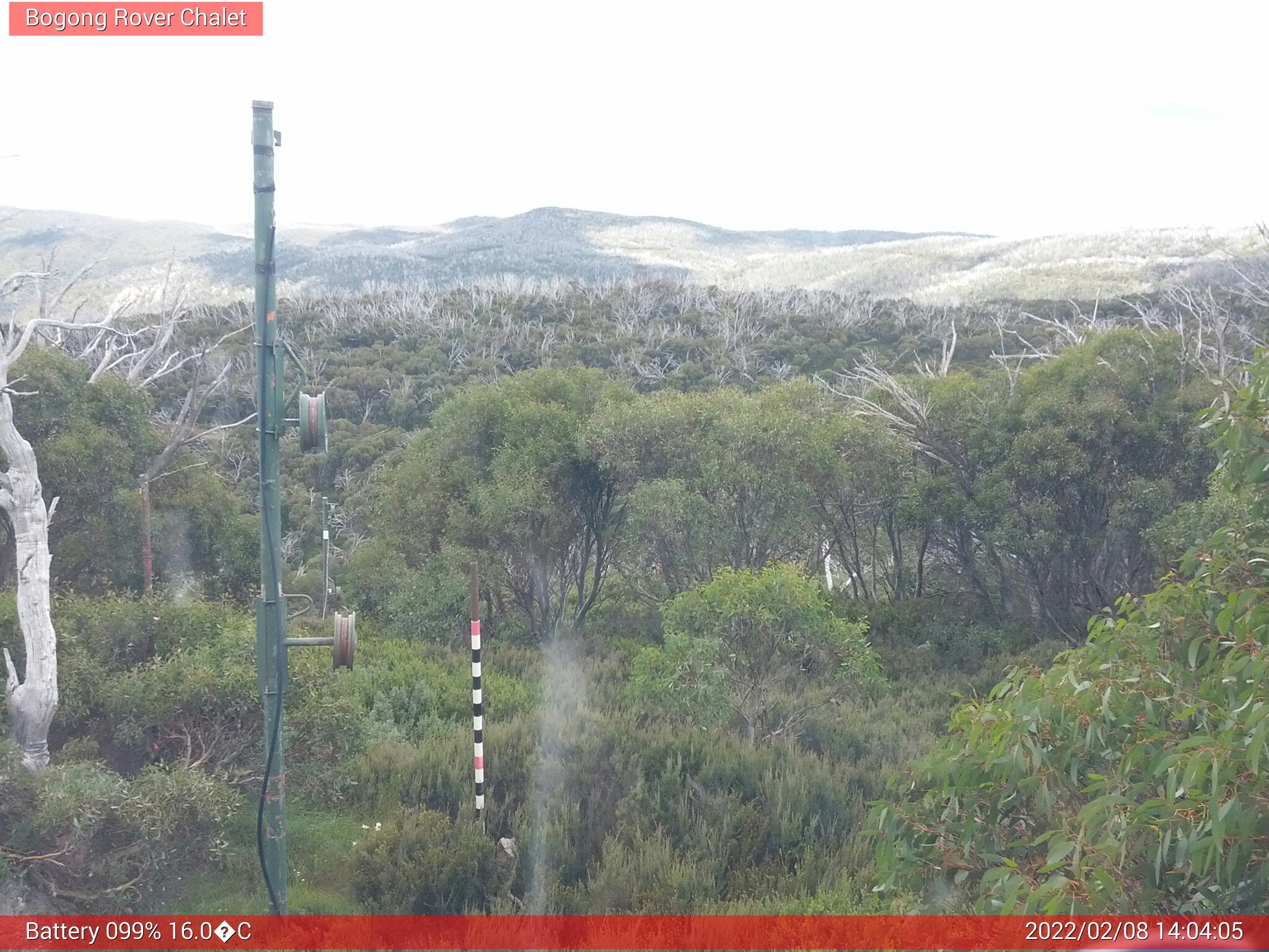 Bogong Web Cam 2:04pm Tuesday 8th of February 2022