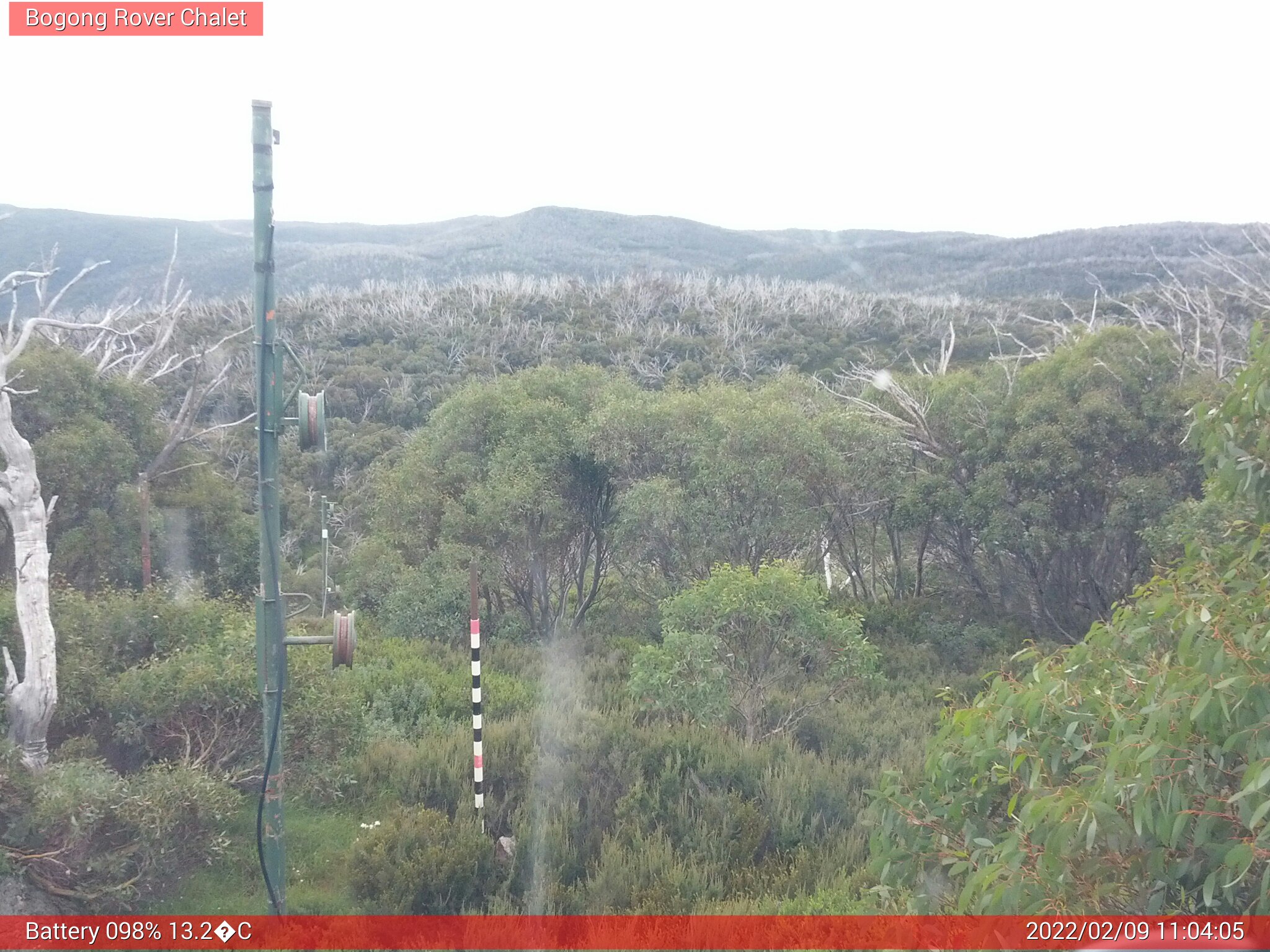 Bogong Web Cam 11:04am Wednesday 9th of February 2022