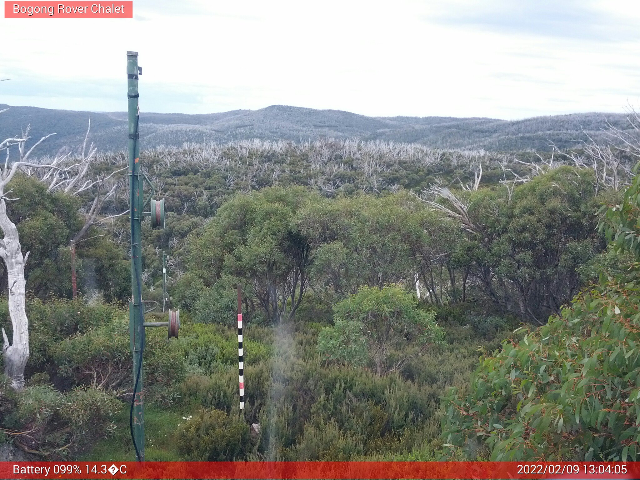 Bogong Web Cam 1:04pm Wednesday 9th of February 2022