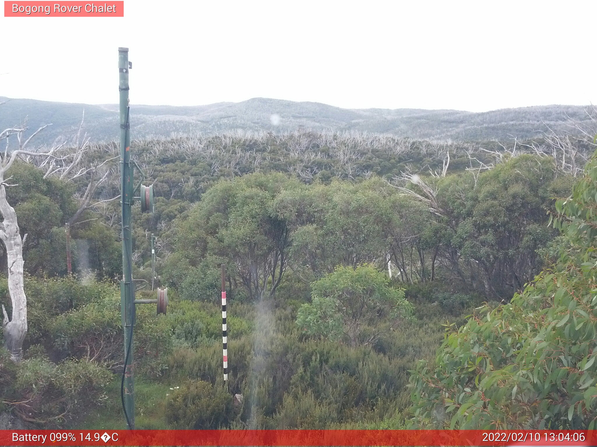 Bogong Web Cam 1:04pm Thursday 10th of February 2022