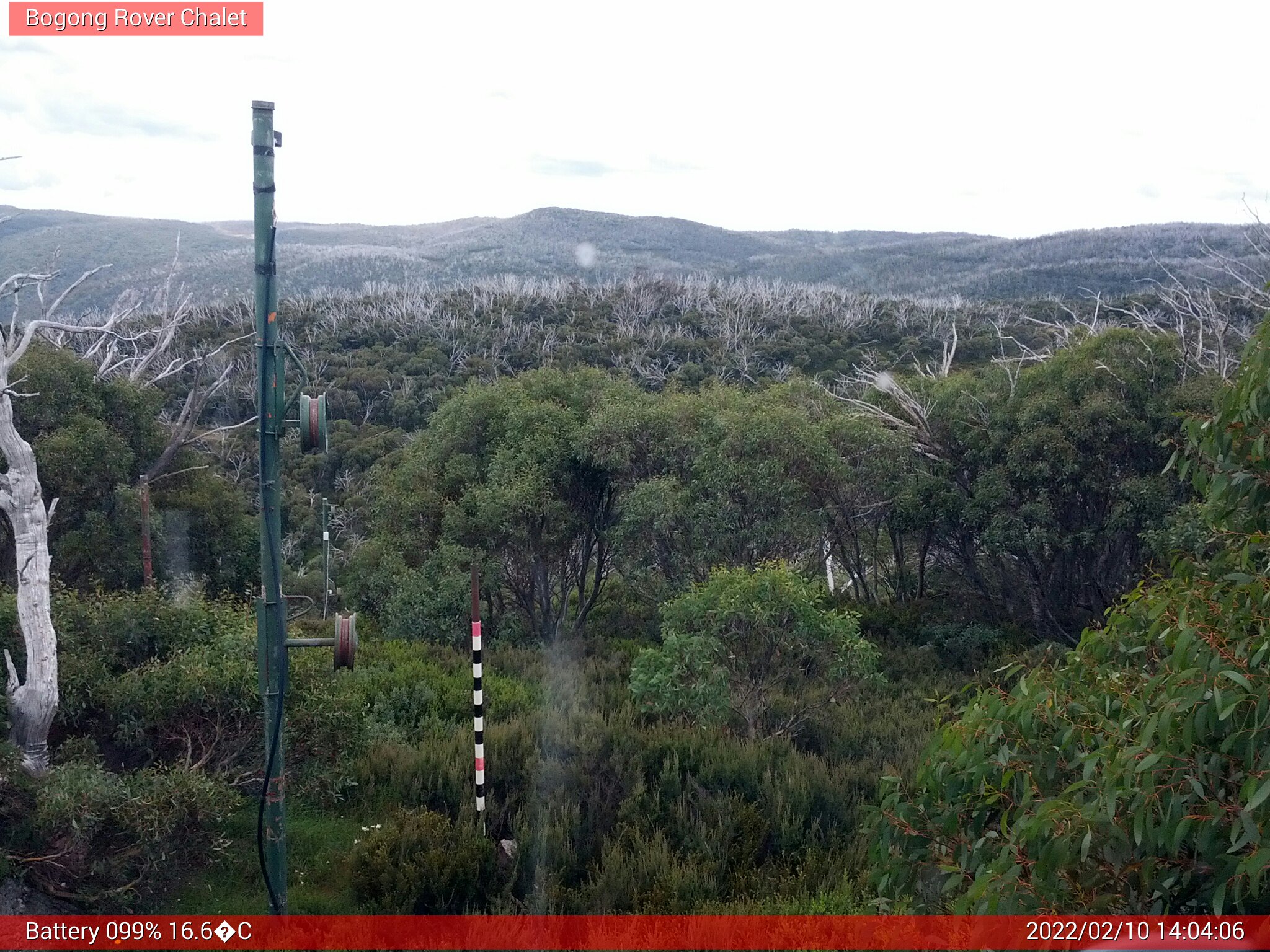 Bogong Web Cam 2:04pm Thursday 10th of February 2022