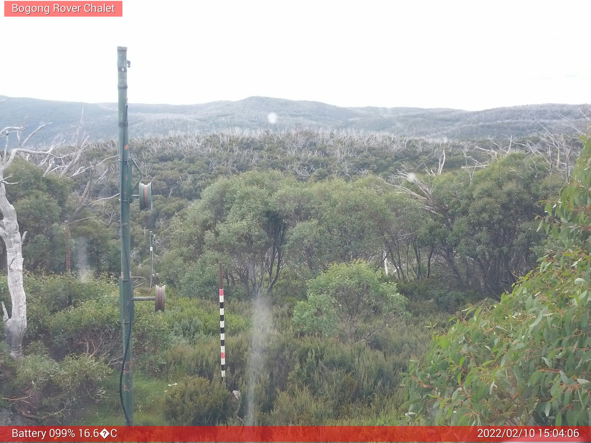 Bogong Web Cam 3:04pm Thursday 10th of February 2022