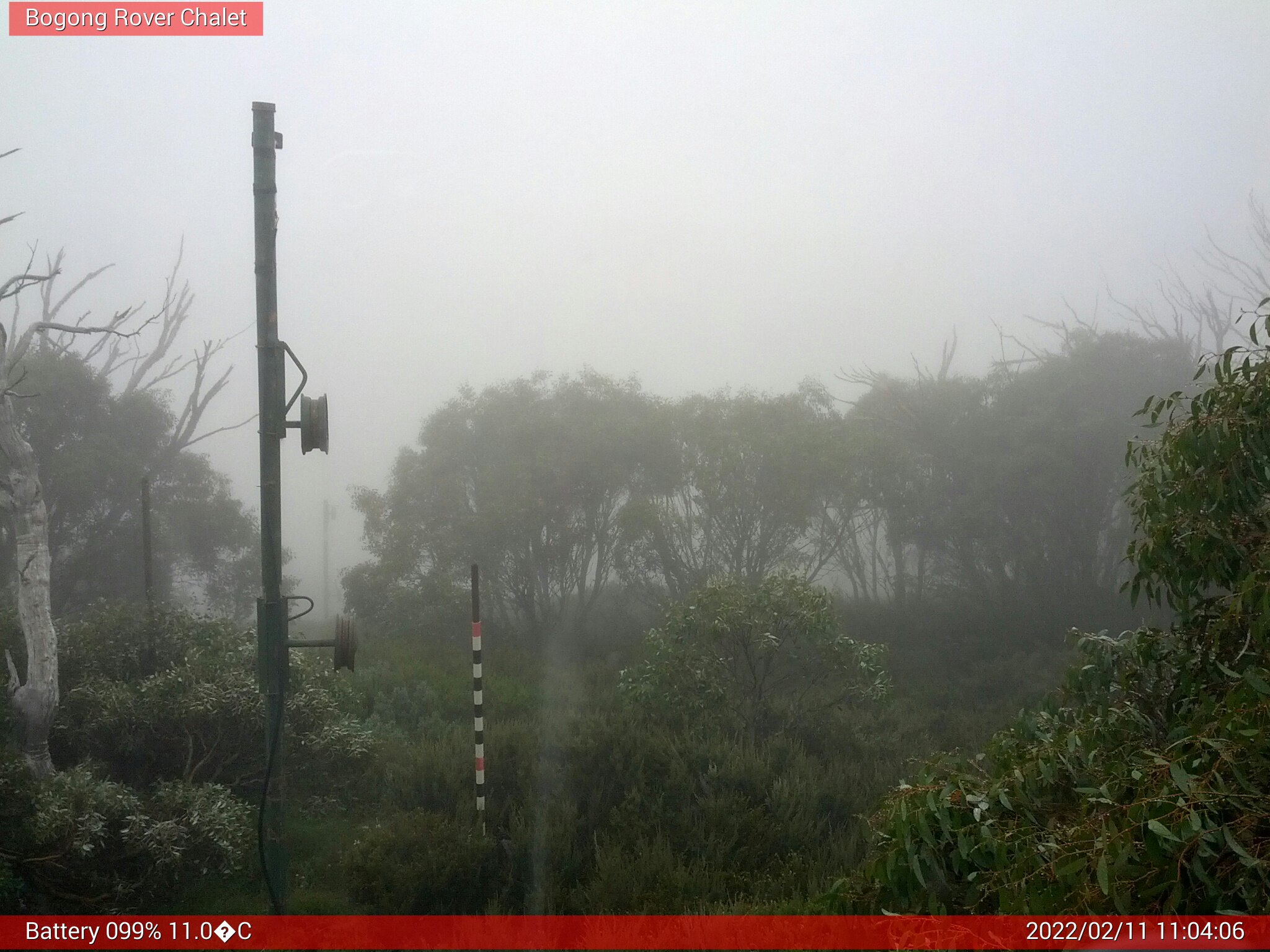 Bogong Web Cam 11:04am Friday 11th of February 2022