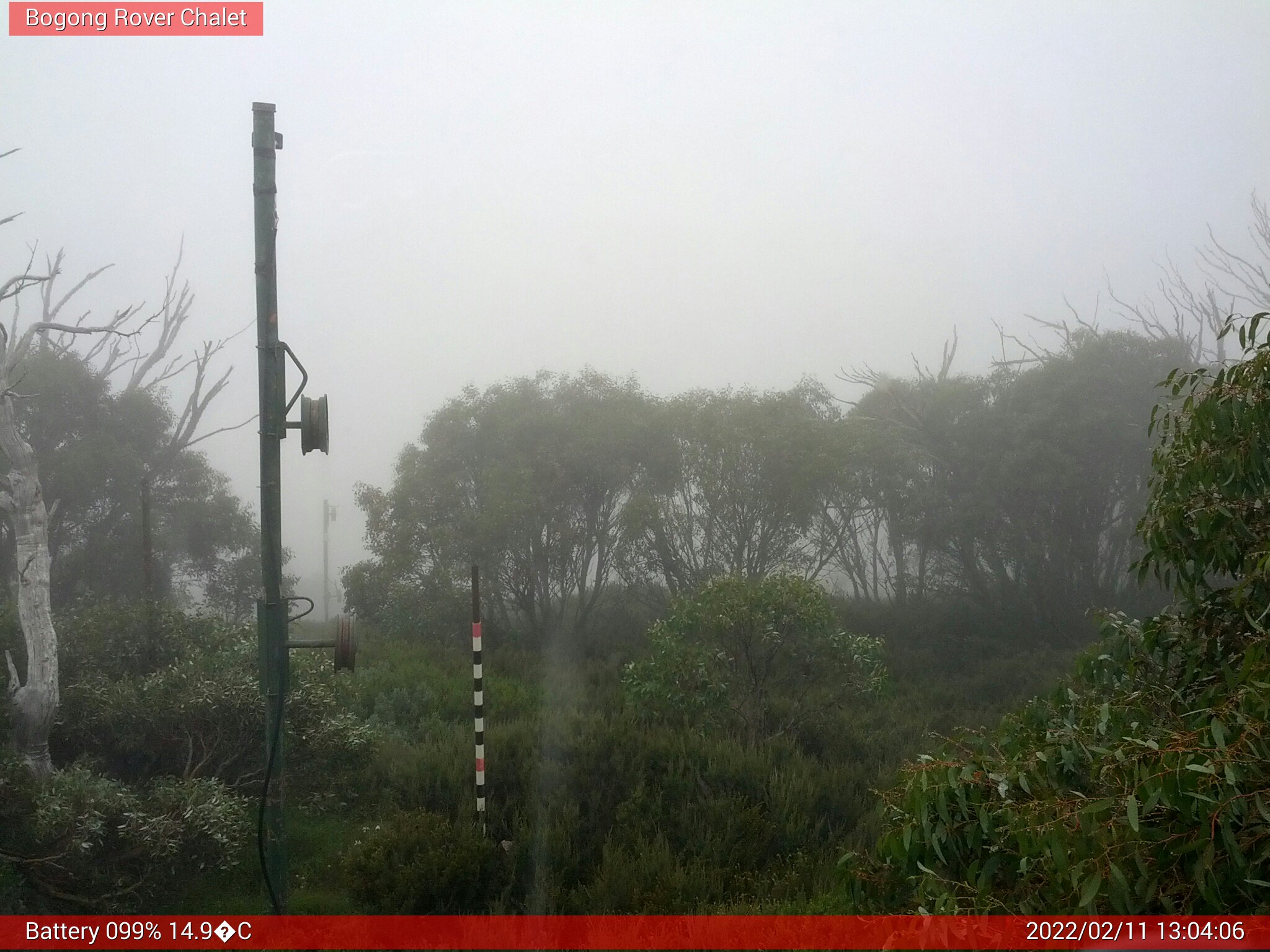 Bogong Web Cam 1:04pm Friday 11th of February 2022