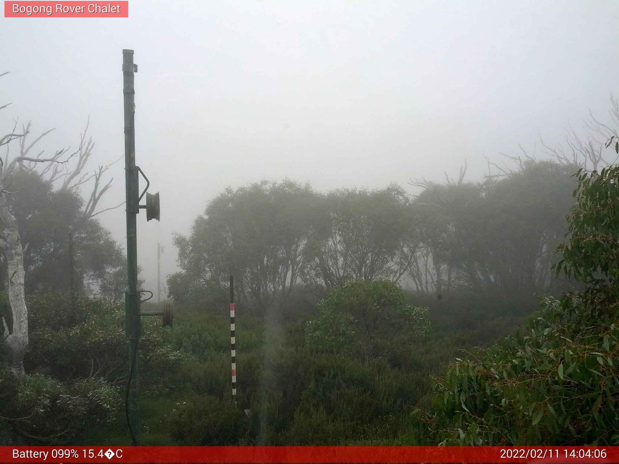 Bogong Web Cam 2:04pm Friday 11th of February 2022