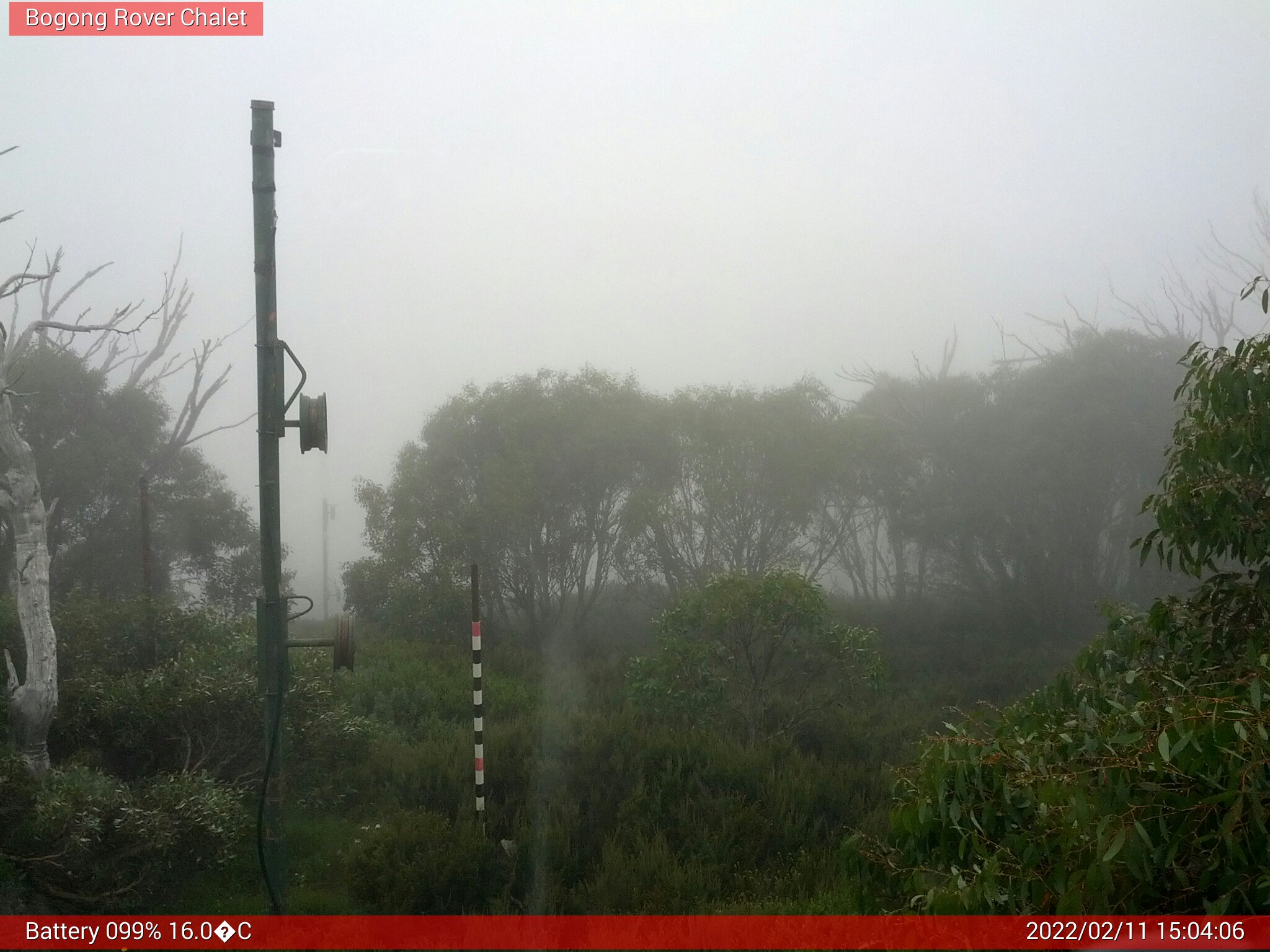 Bogong Web Cam 3:04pm Friday 11th of February 2022