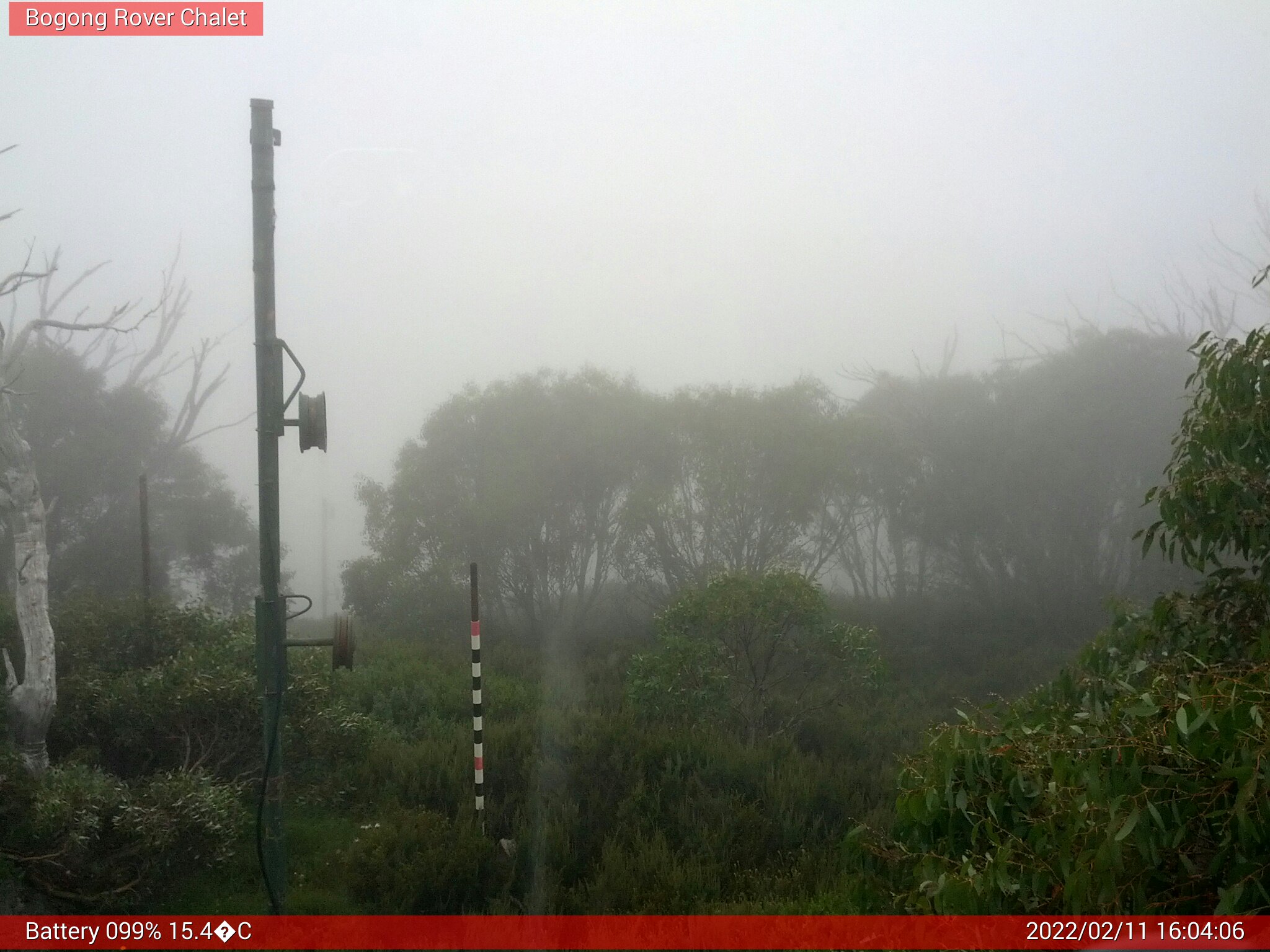 Bogong Web Cam 4:04pm Friday 11th of February 2022