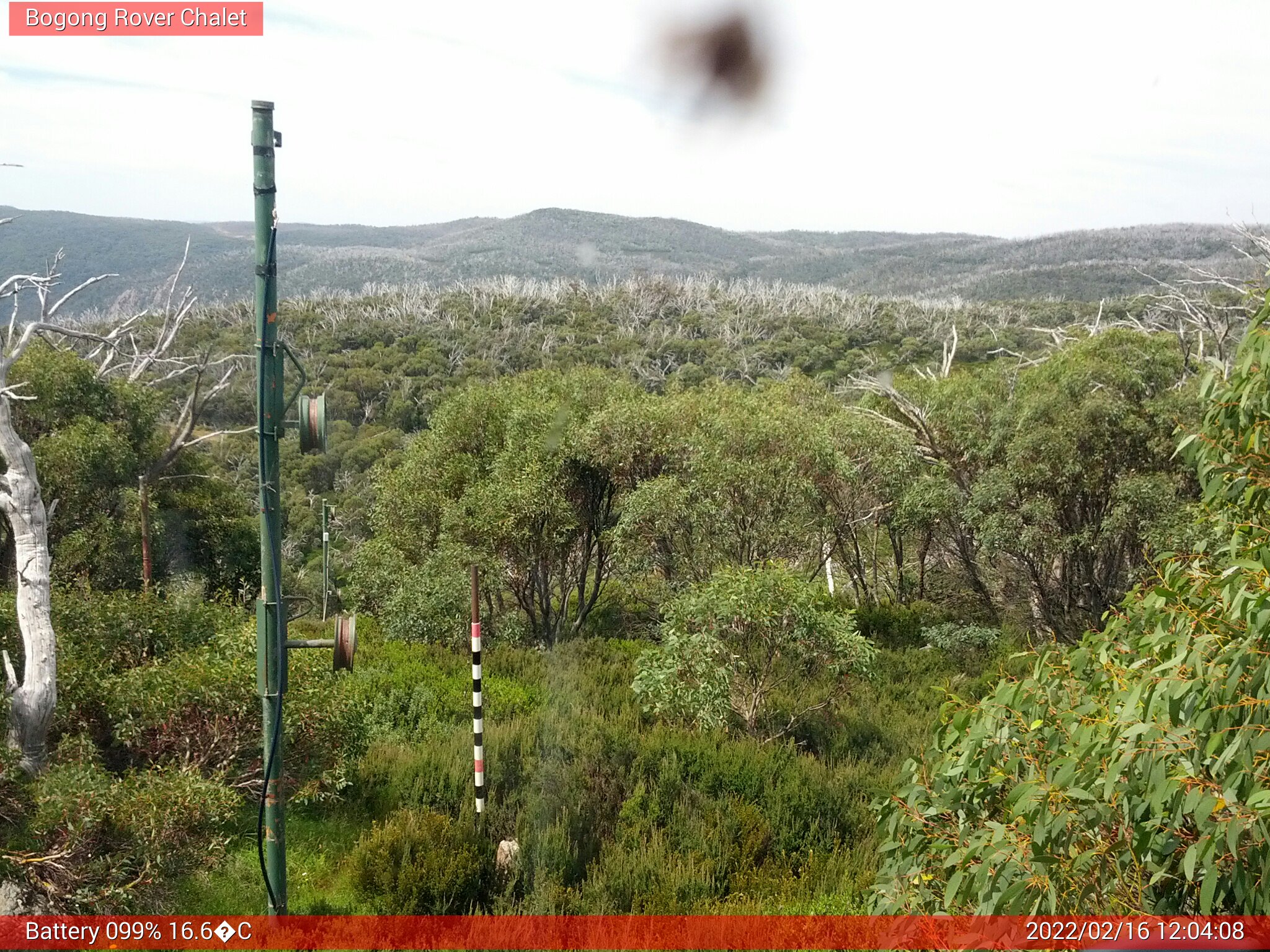 Bogong Web Cam 12:04pm Wednesday 16th of February 2022