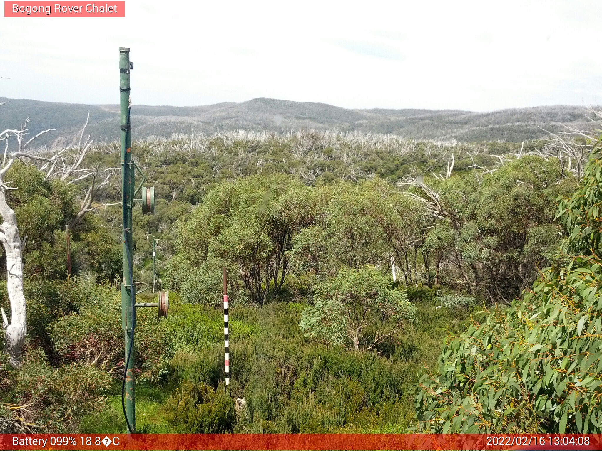 Bogong Web Cam 1:04pm Wednesday 16th of February 2022