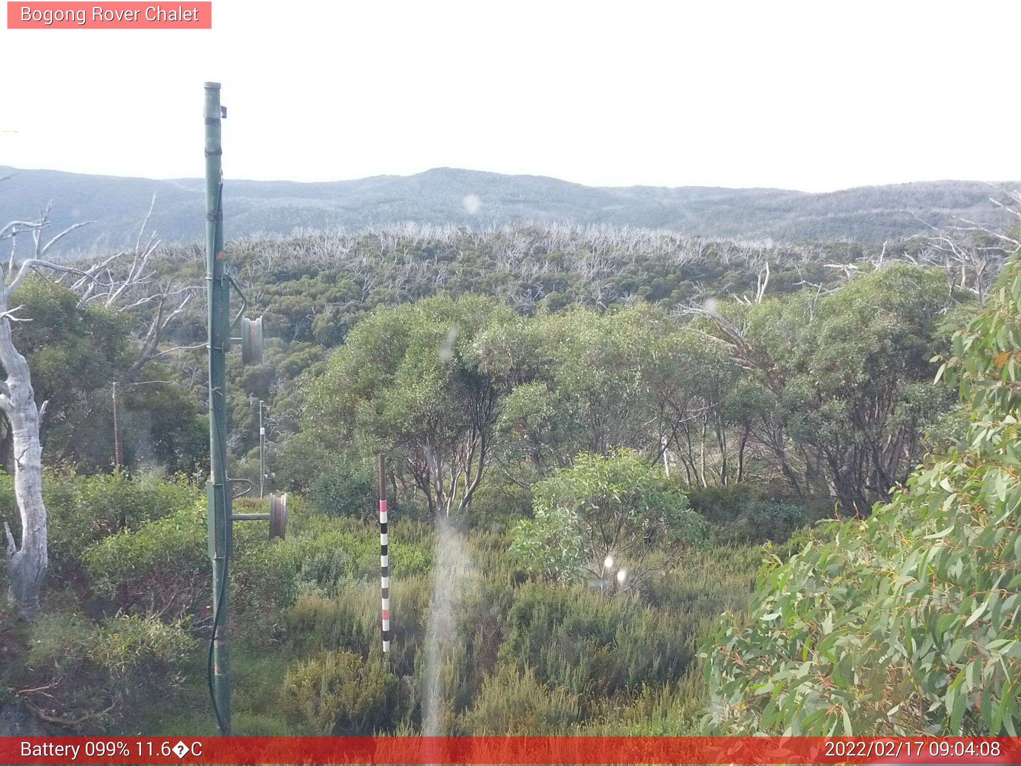 Bogong Web Cam 9:04am Thursday 17th of February 2022