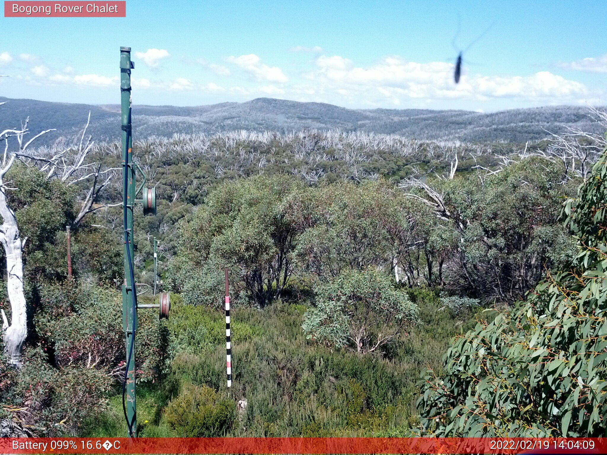 Bogong Web Cam 2:04pm Saturday 19th of February 2022