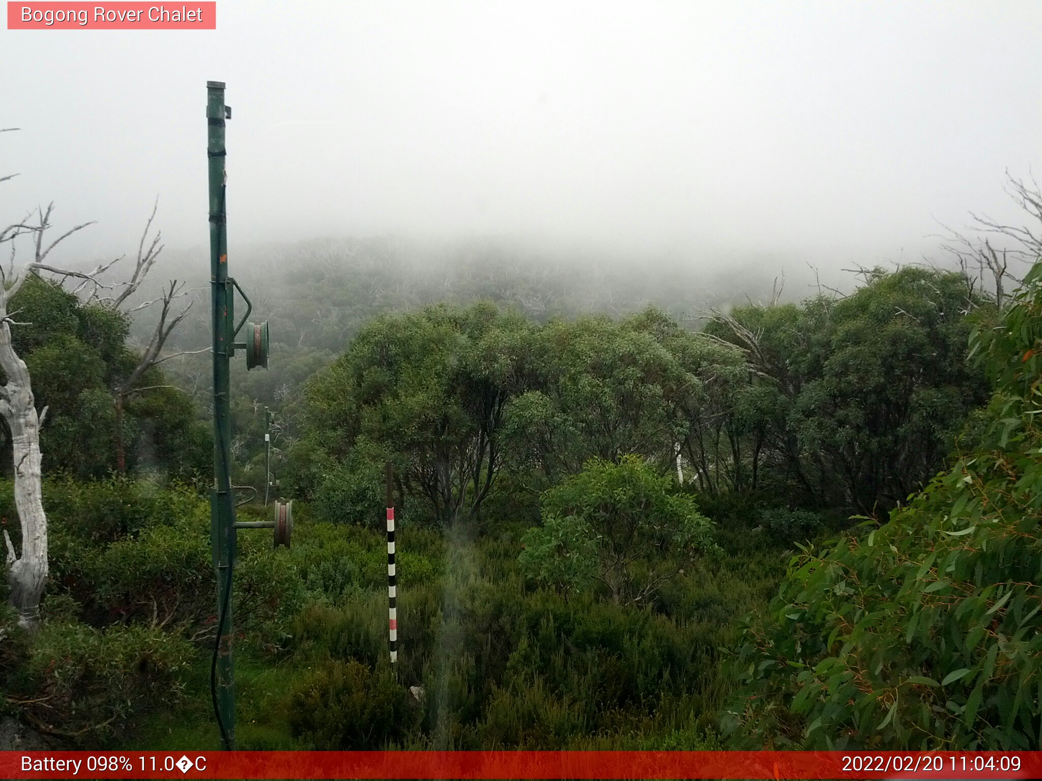 Bogong Web Cam 11:04am Sunday 20th of February 2022