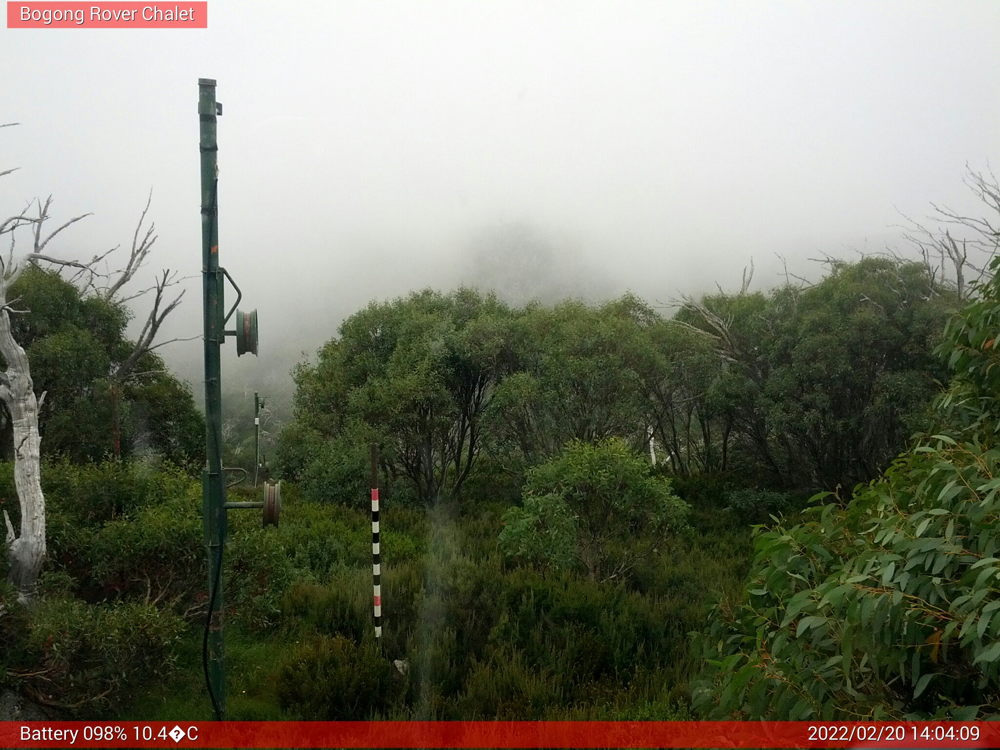 Bogong Web Cam 2:04pm Sunday 20th of February 2022