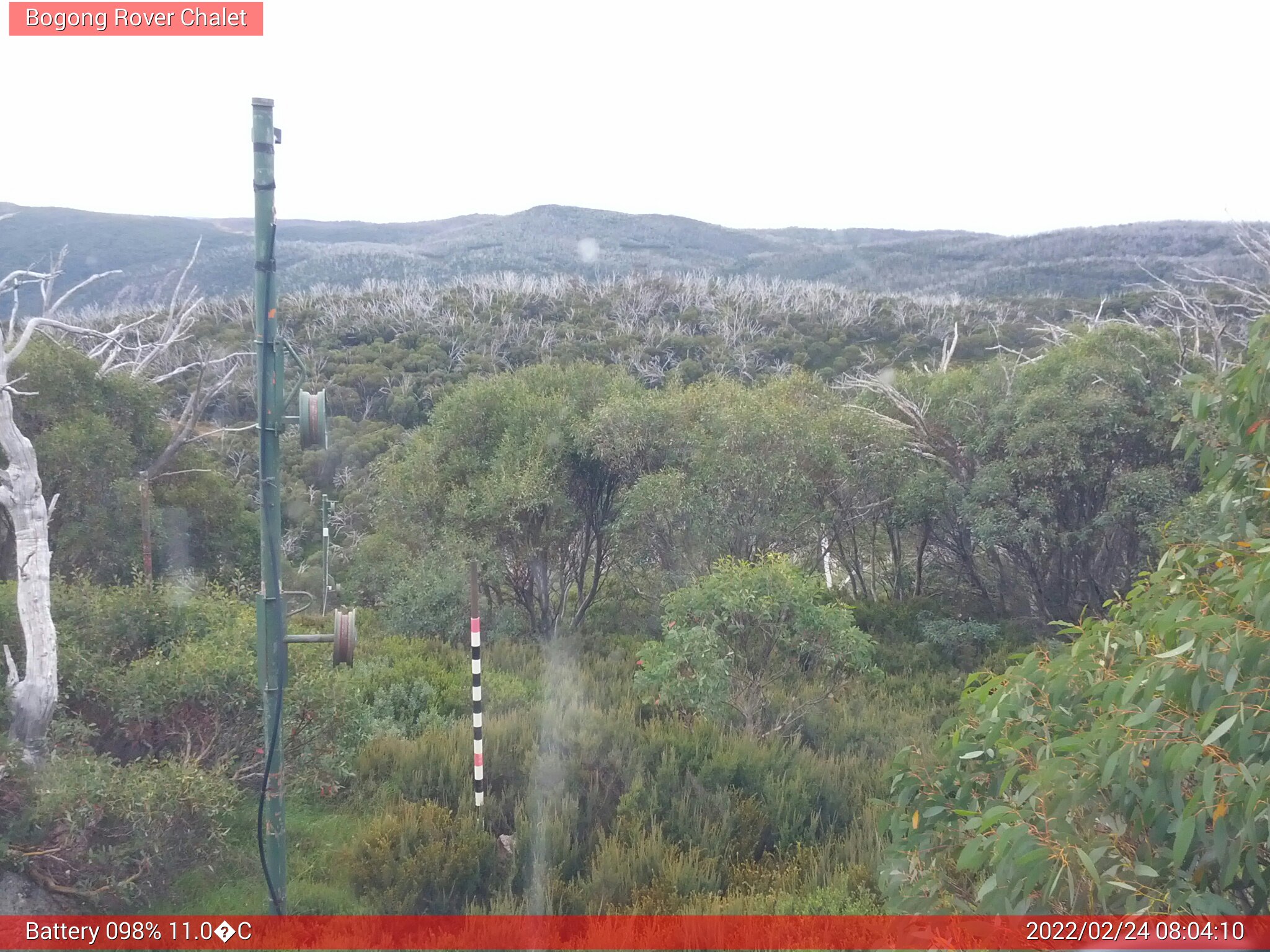 Bogong Web Cam 8:04am Thursday 24th of February 2022