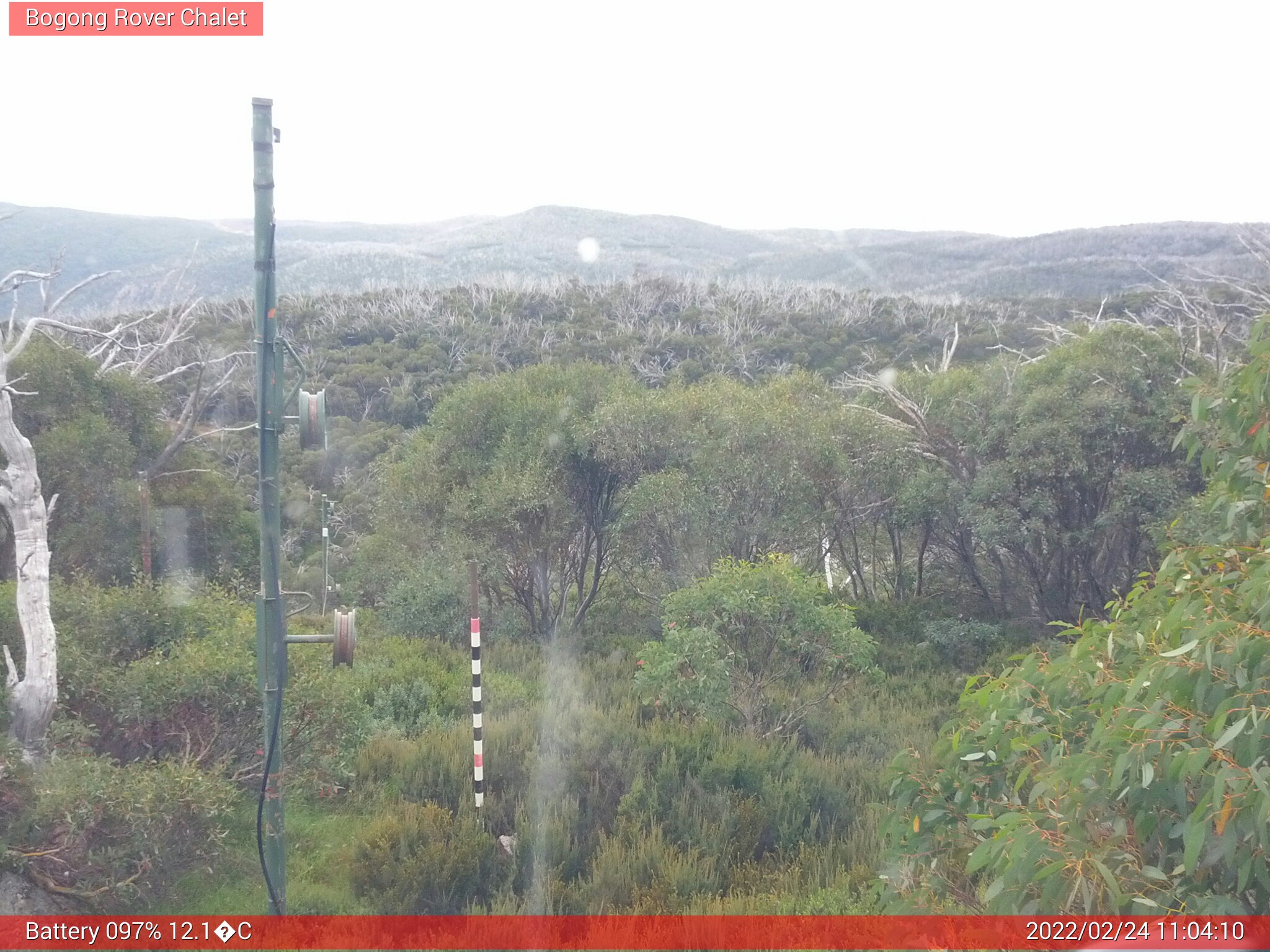 Bogong Web Cam 11:04am Thursday 24th of February 2022