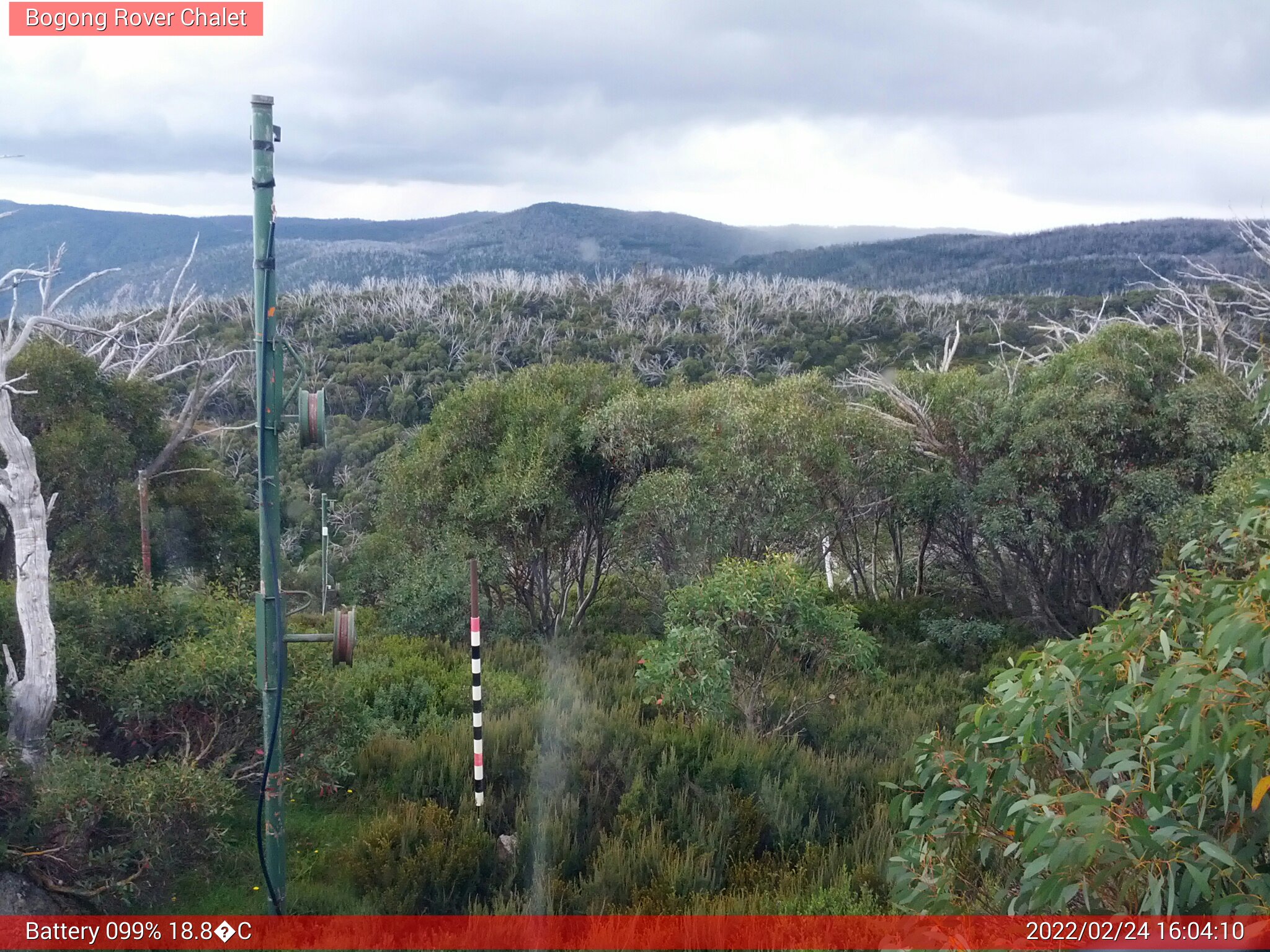 Bogong Web Cam 4:04pm Thursday 24th of February 2022