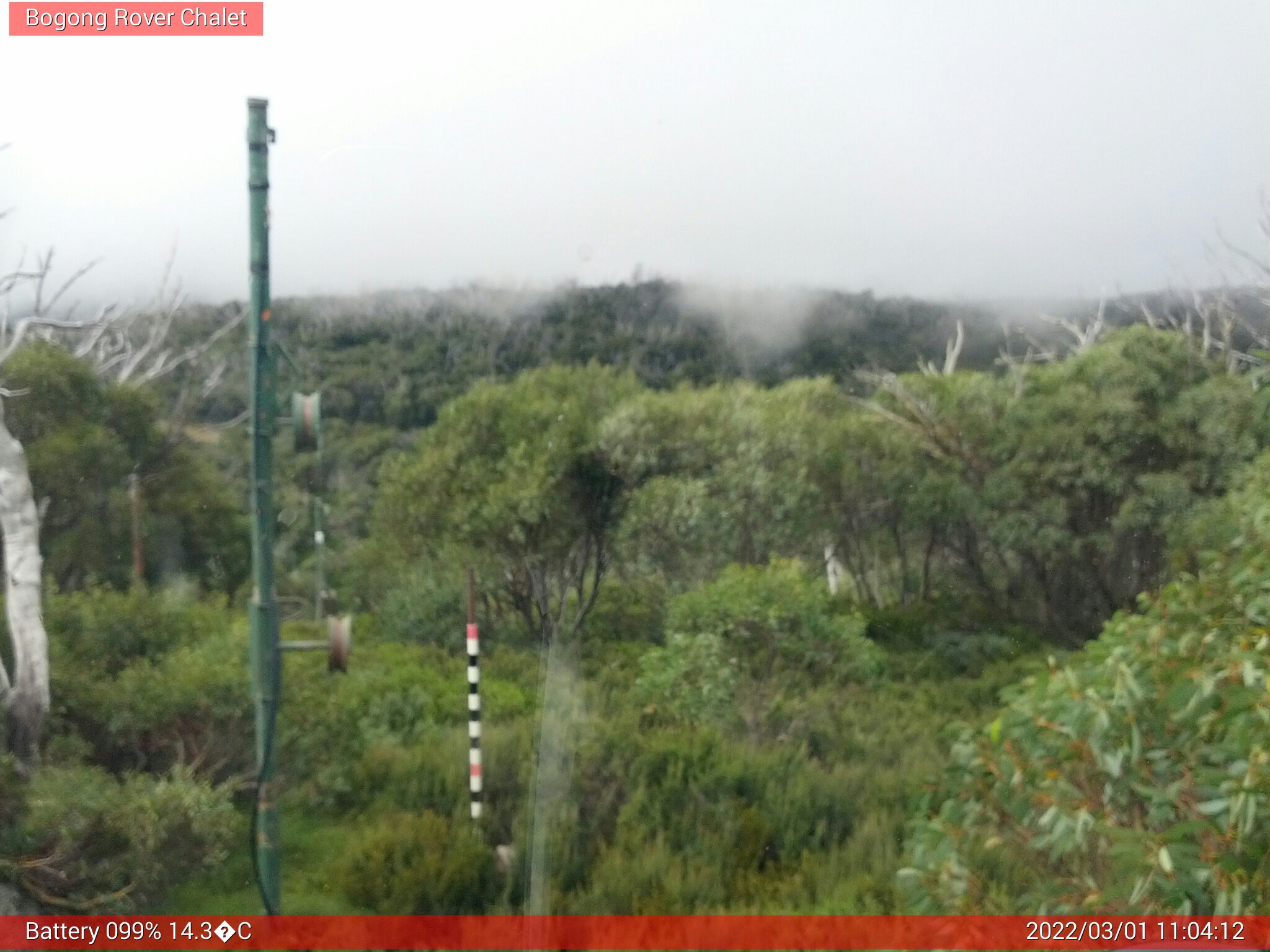 Bogong Web Cam 11:04am Tuesday 1st of March 2022