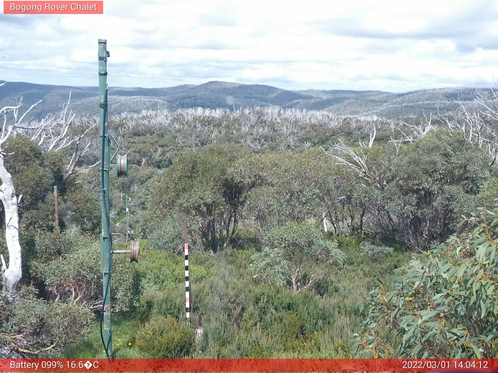 Bogong Web Cam 2:04pm Tuesday 1st of March 2022