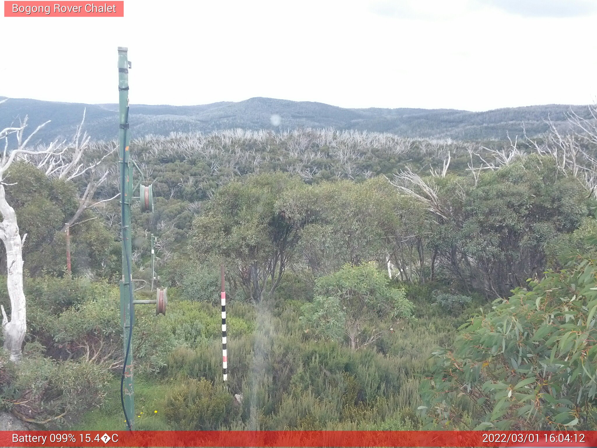 Bogong Web Cam 4:04pm Tuesday 1st of March 2022