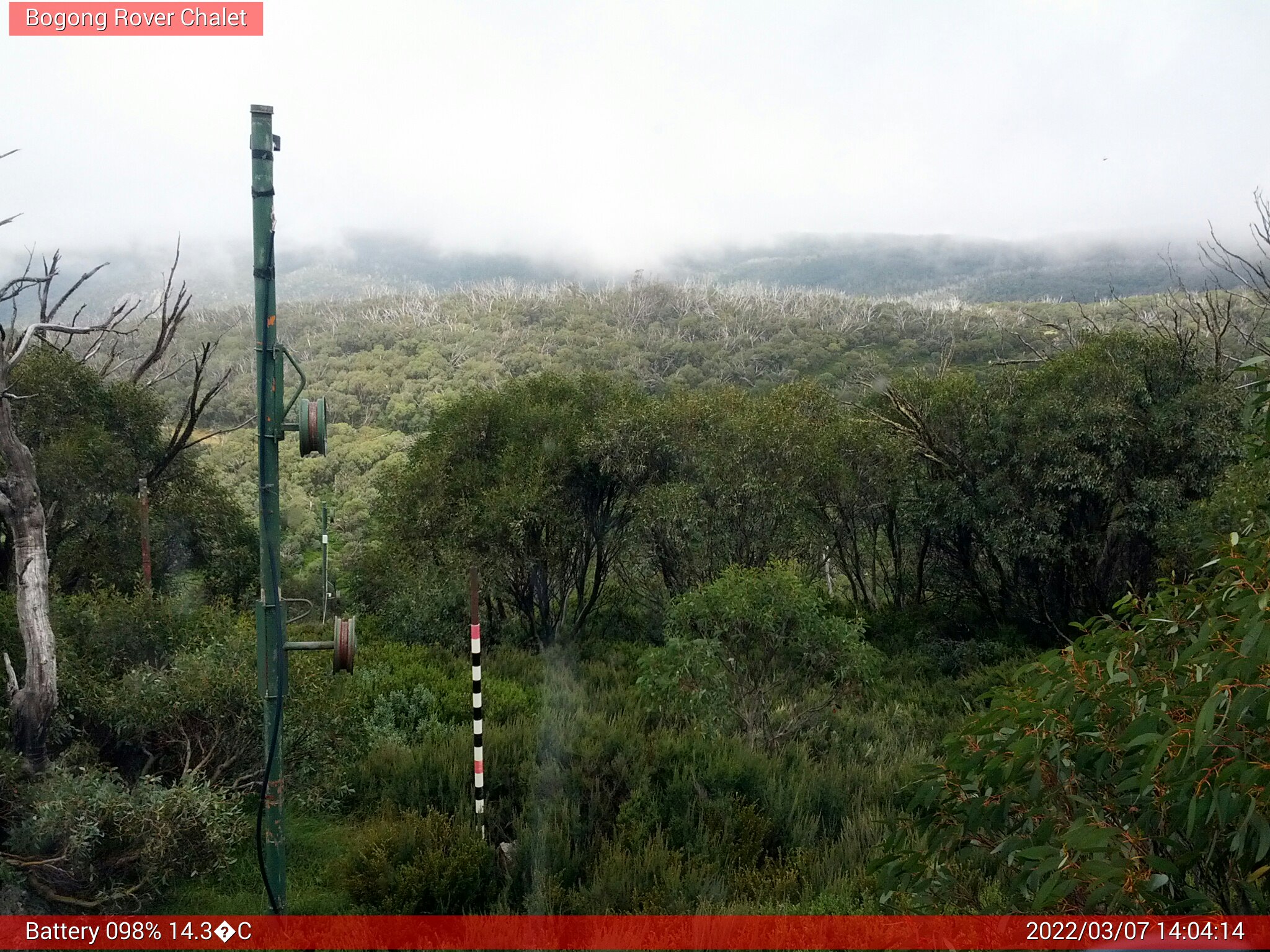 Bogong Web Cam 2:04pm Monday 7th of March 2022