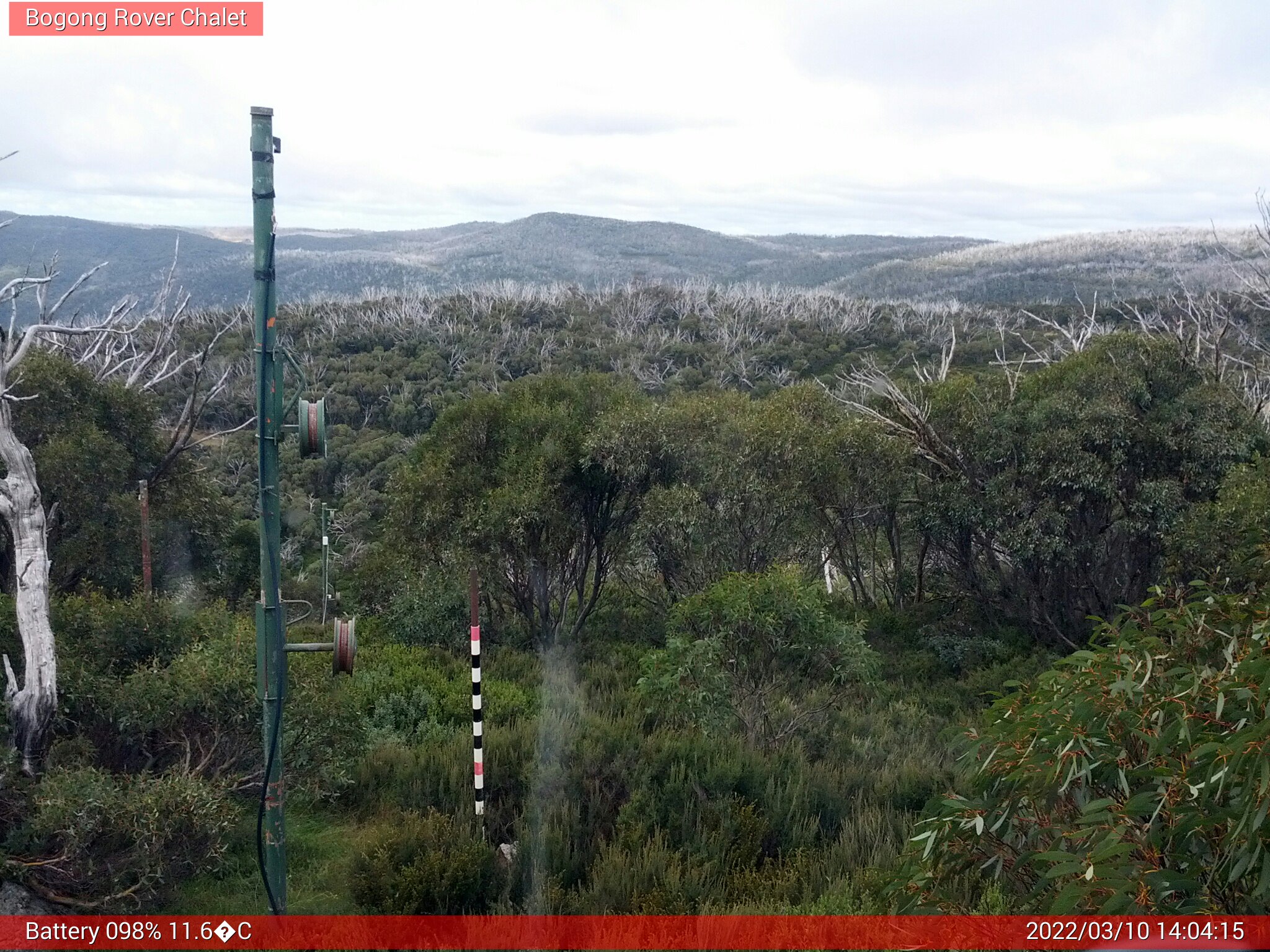 Bogong Web Cam 2:04pm Thursday 10th of March 2022