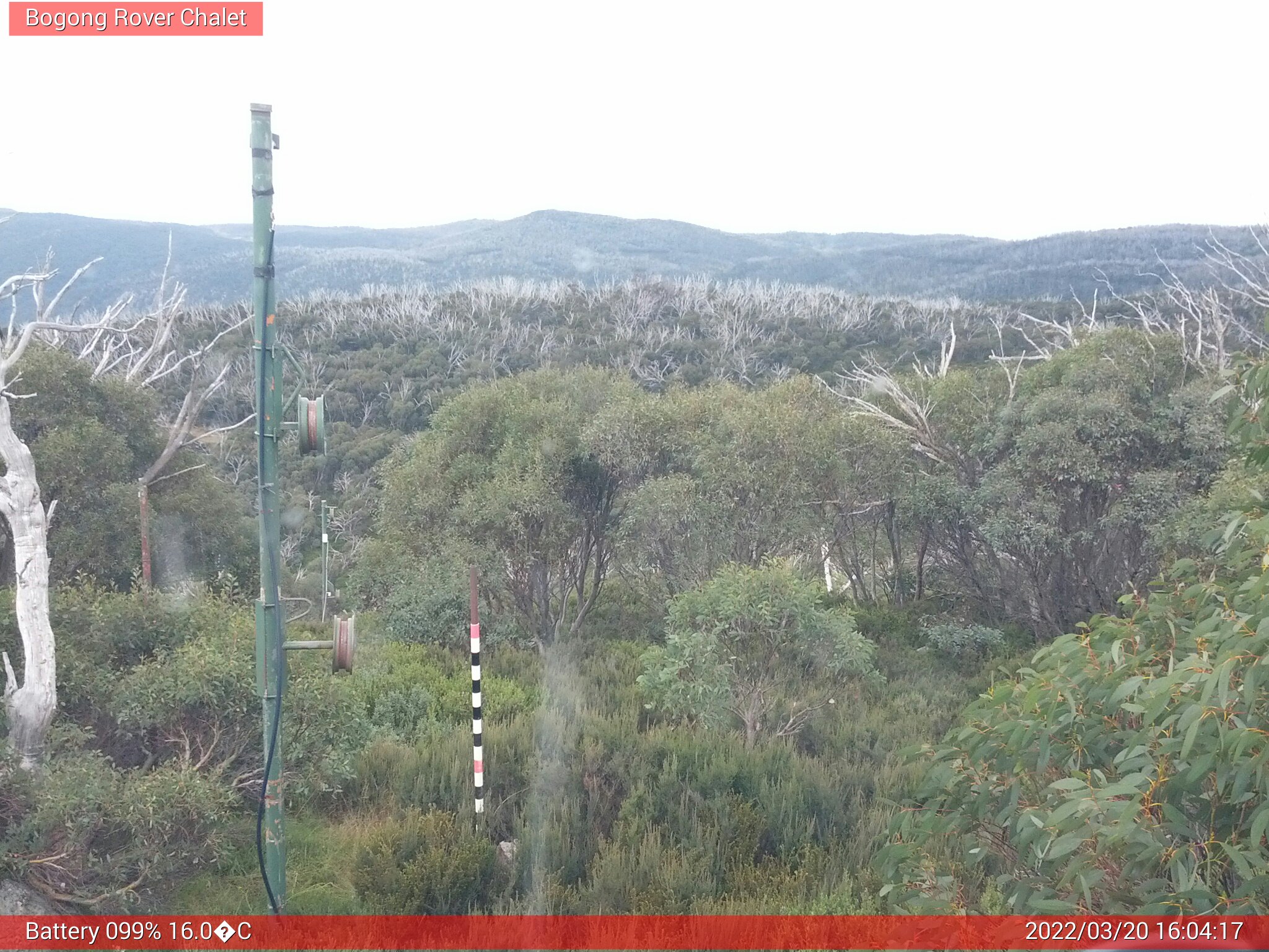 Bogong Web Cam 4:04pm Sunday 20th of March 2022