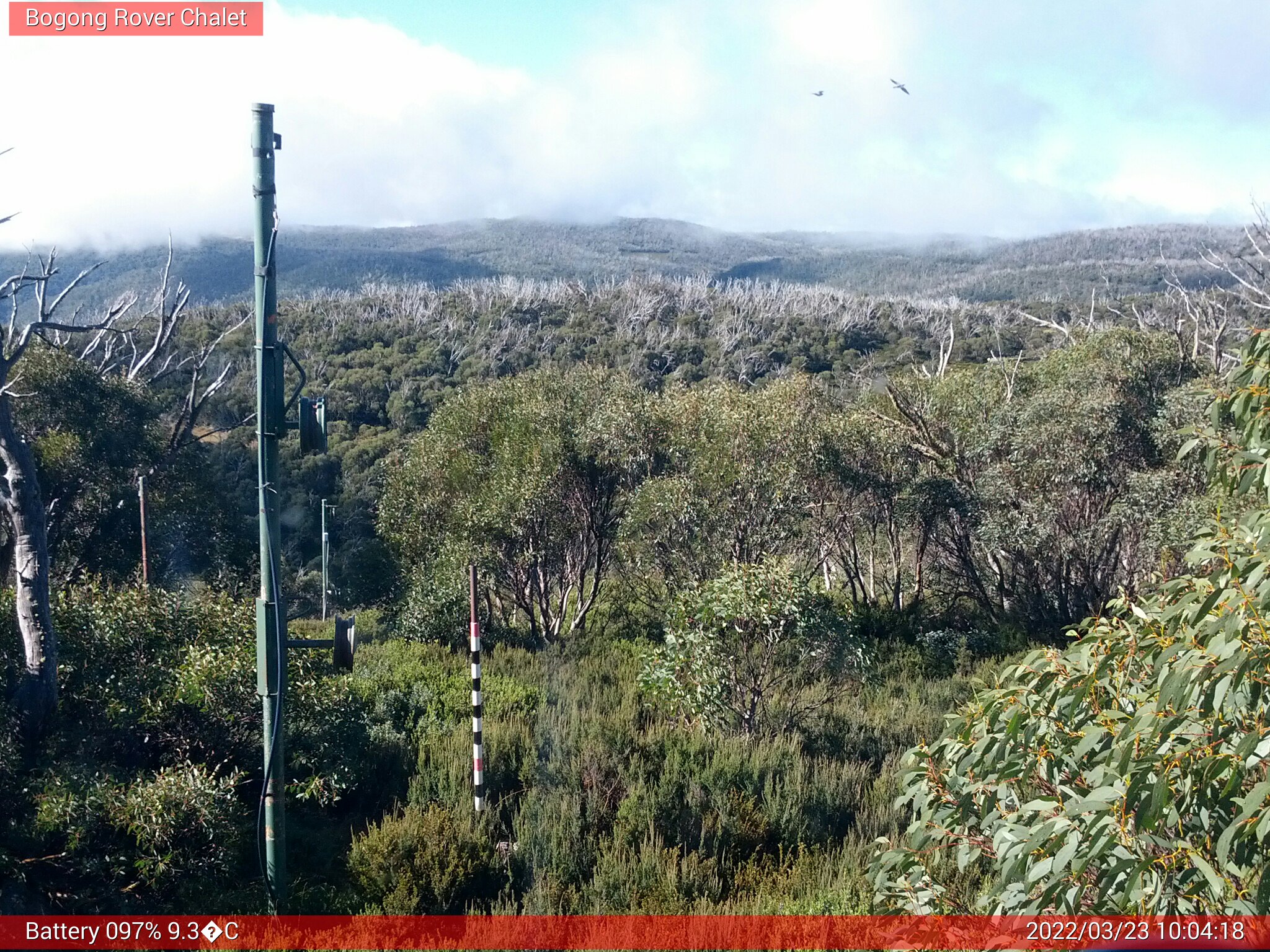 Bogong Web Cam 10:04am Wednesday 23rd of March 2022