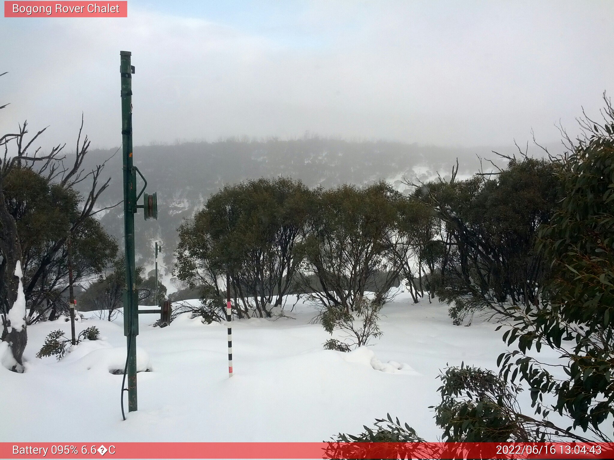 Bogong Web Cam 1:04pm Thursday 16th of June 2022