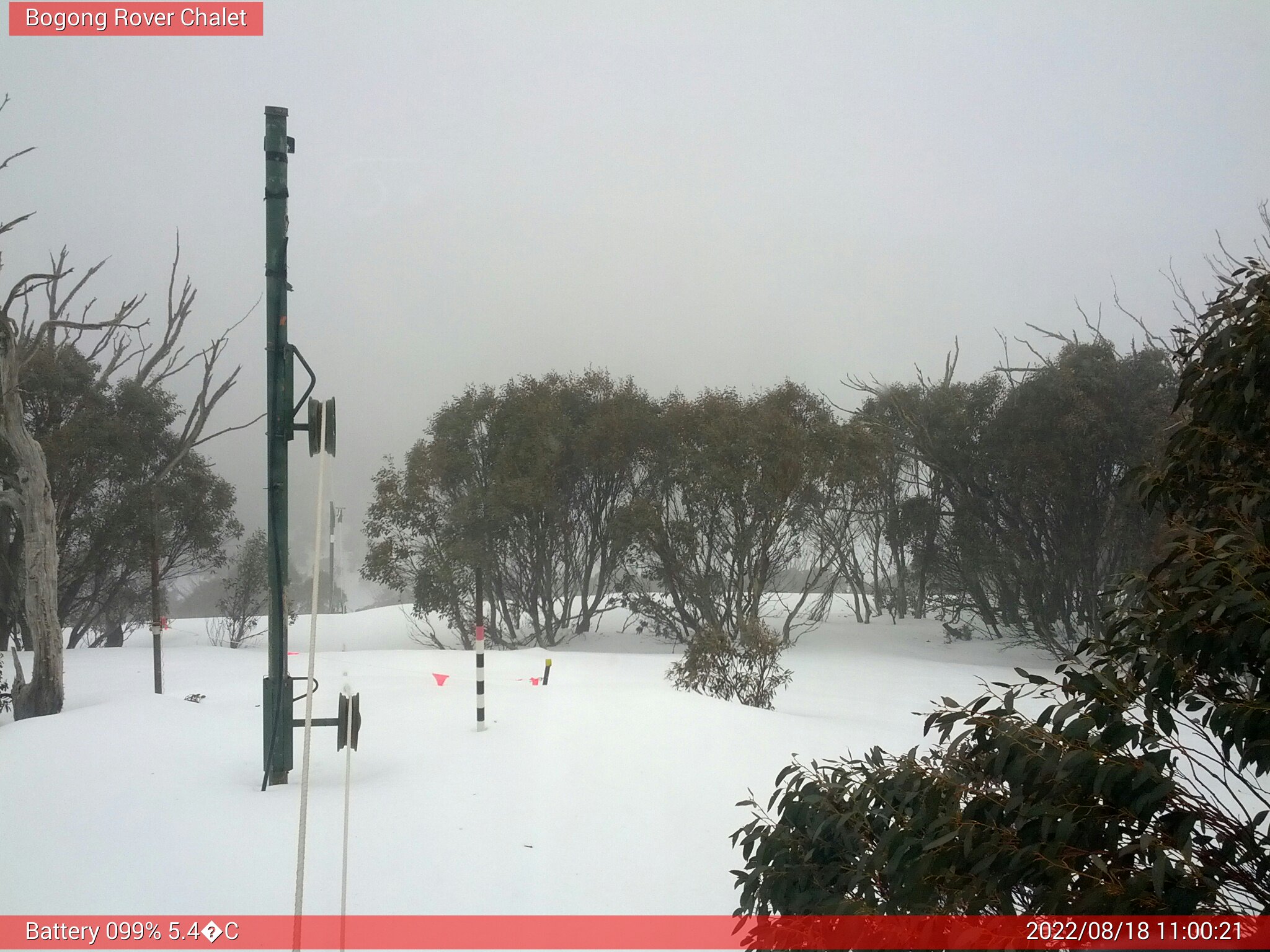 Bogong Web Cam 11:00am Thursday 18th of August 2022