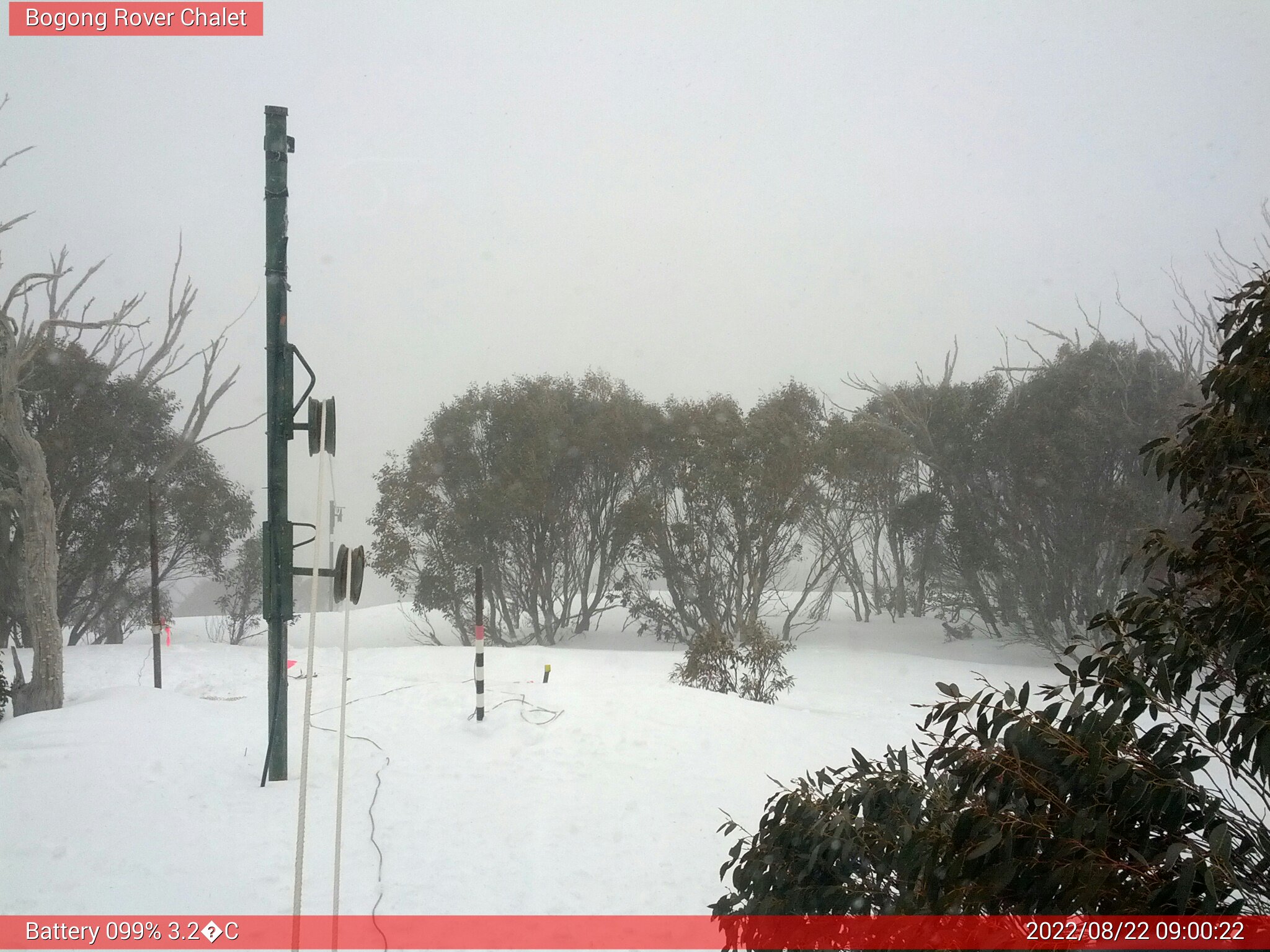 Bogong Web Cam 9:00am Monday 22nd of August 2022