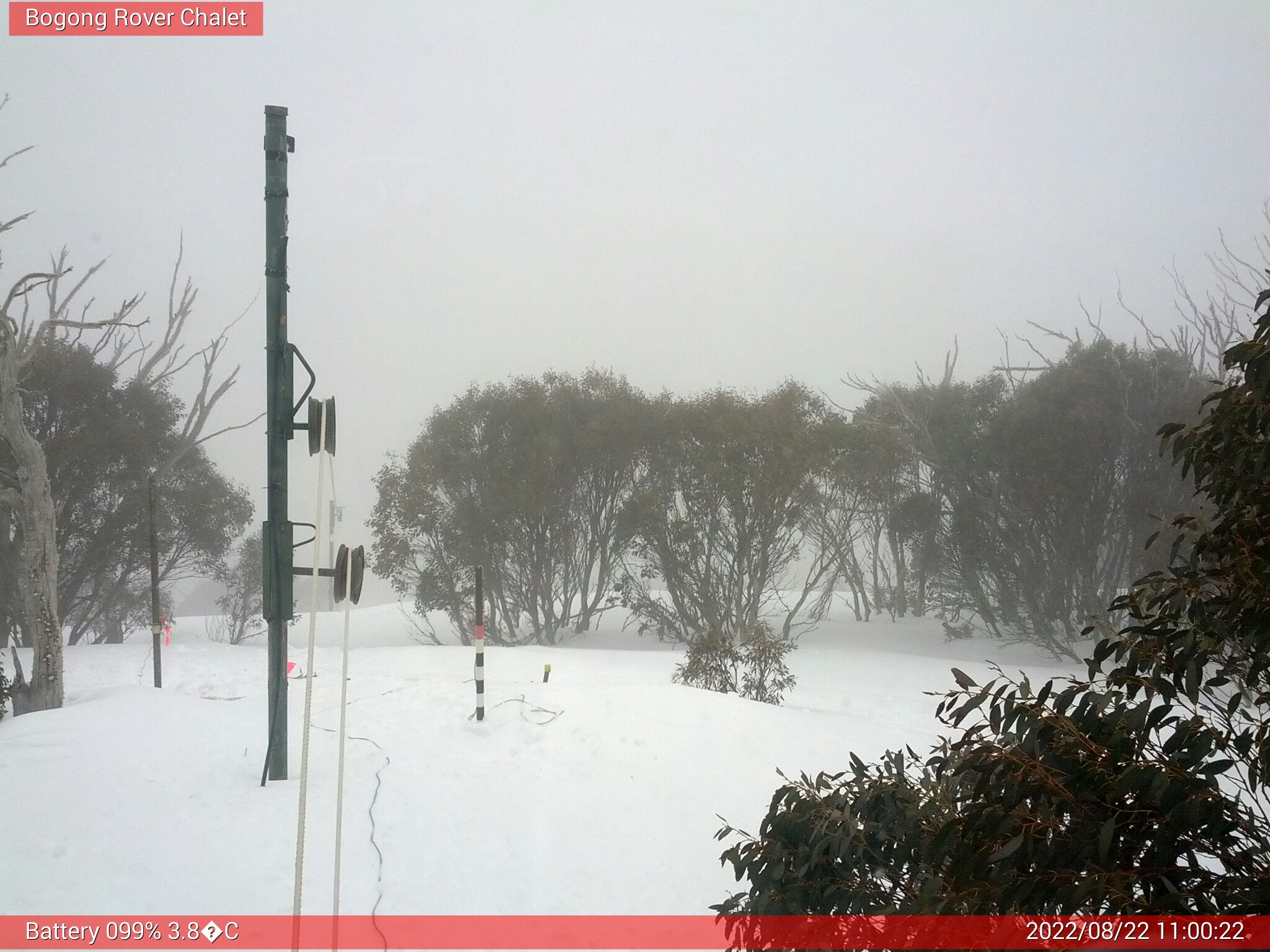 Bogong Web Cam 11:00am Monday 22nd of August 2022